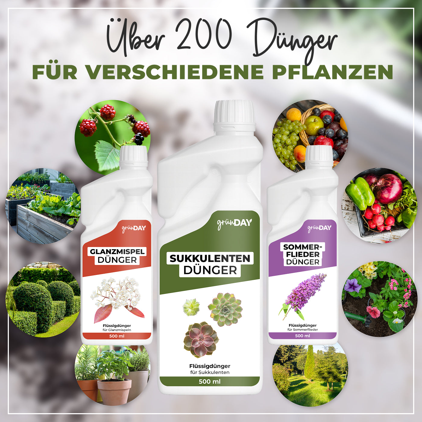 Gründay Sukkulentendünger – Produktansicht 7