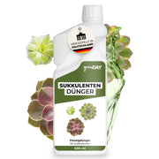 Gründay Sukkulentendünger – Produktbild