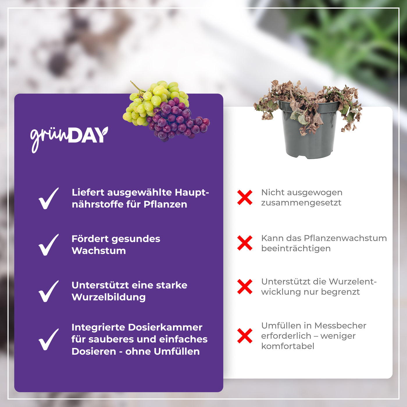 Gründay Tafeltraubendünger – Produktansicht 6
