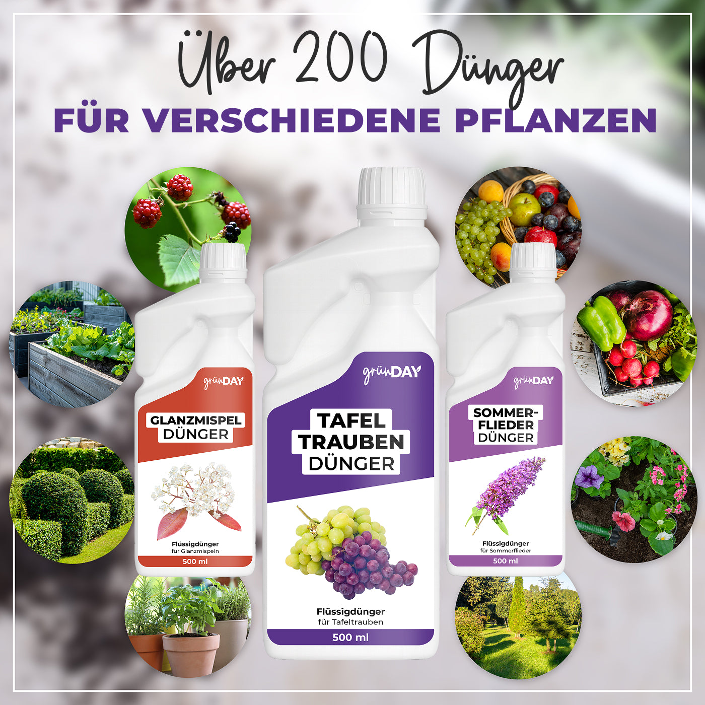 Gründay Tafeltraubendünger – Produktansicht 7