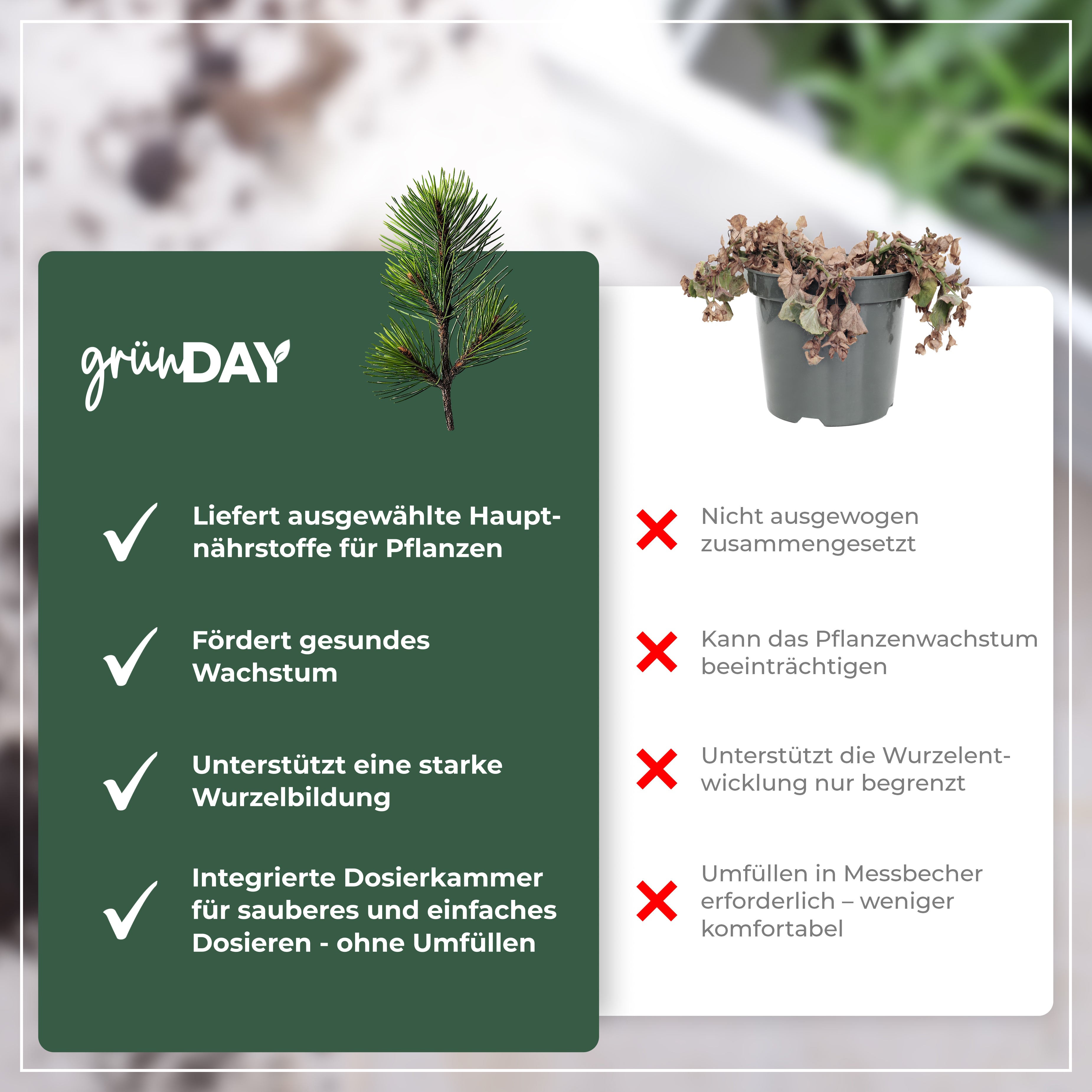 Gründay Tannendünger – Produktansicht 6