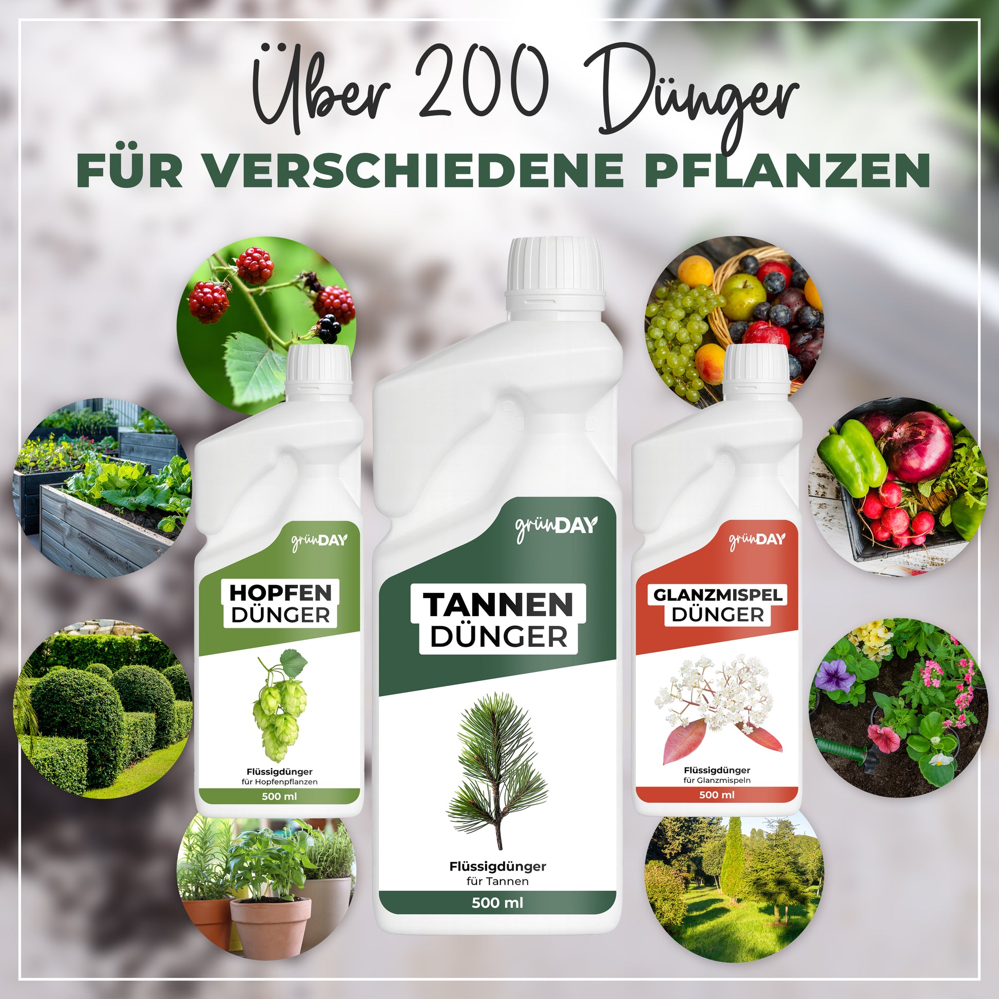 Gründay Tannendünger – Produktansicht 7