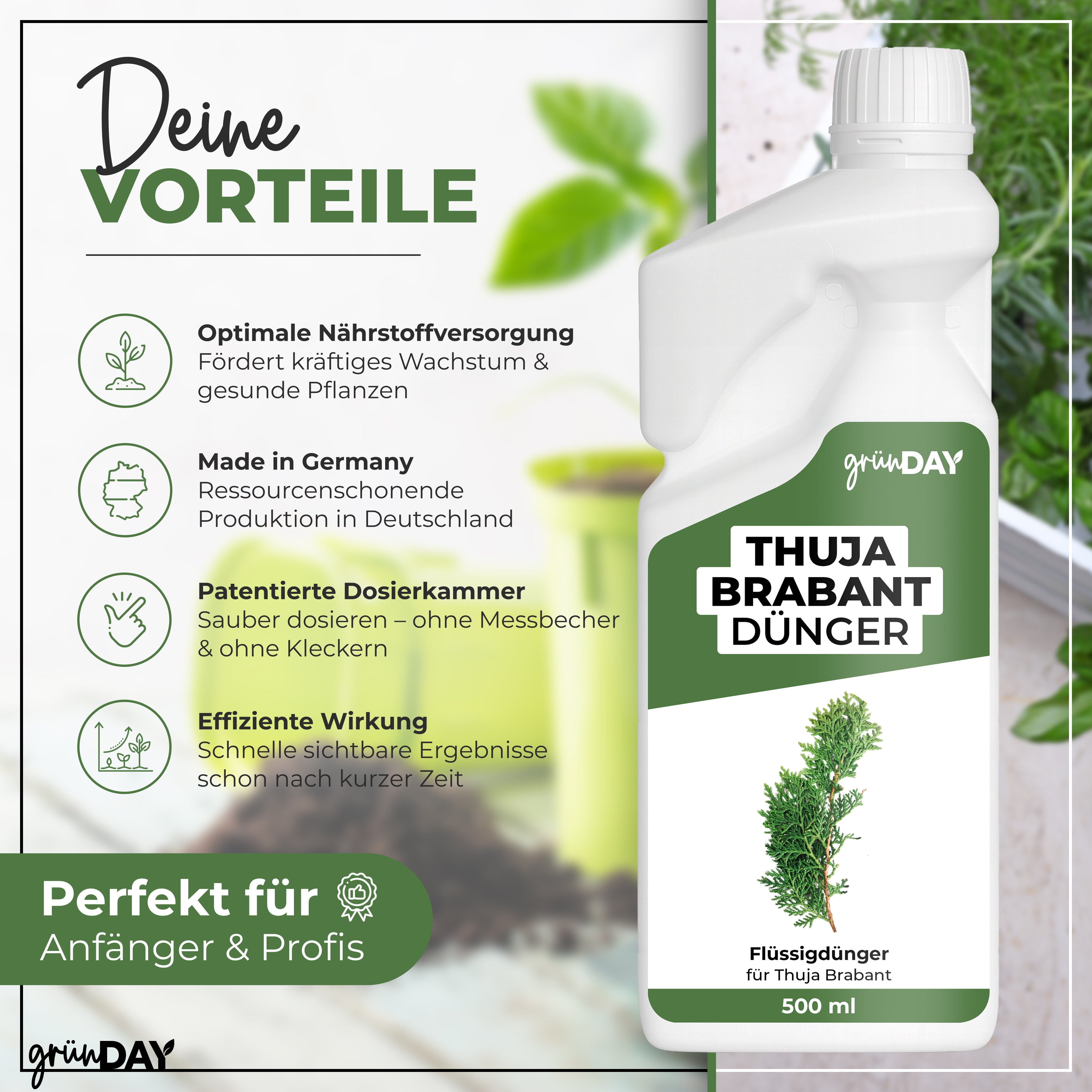 Gründay Thuja Brabant Dünger – Produktansicht 2