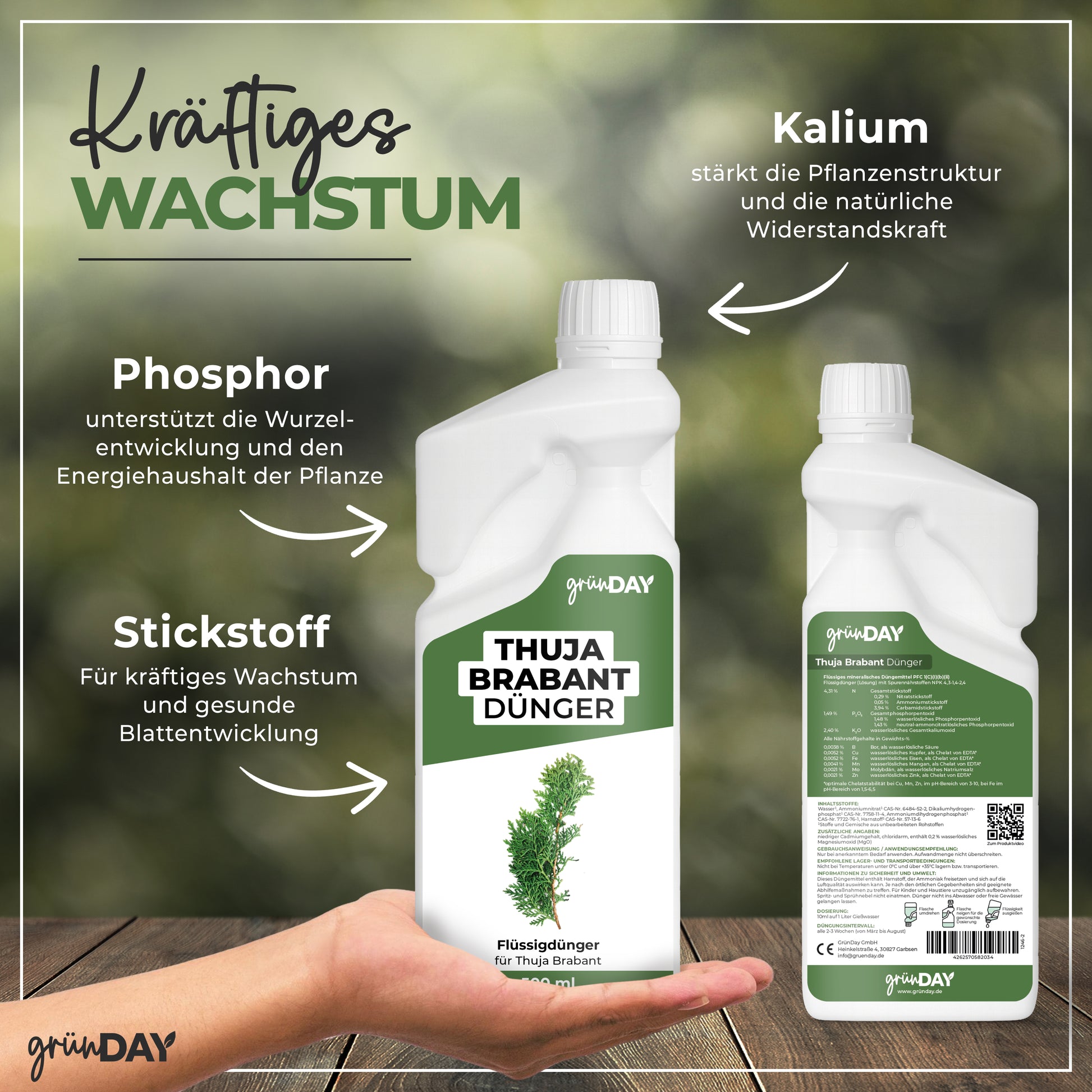 Gründay Thuja Brabant Dünger – Produktansicht 4