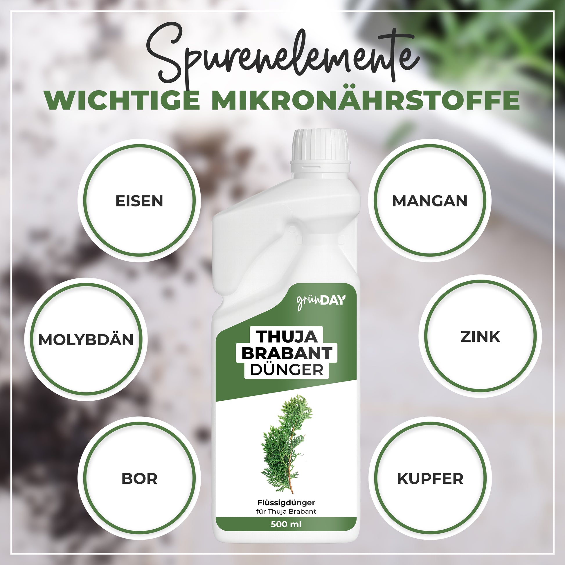 Gründay Thuja Brabant Dünger – Produktansicht 5