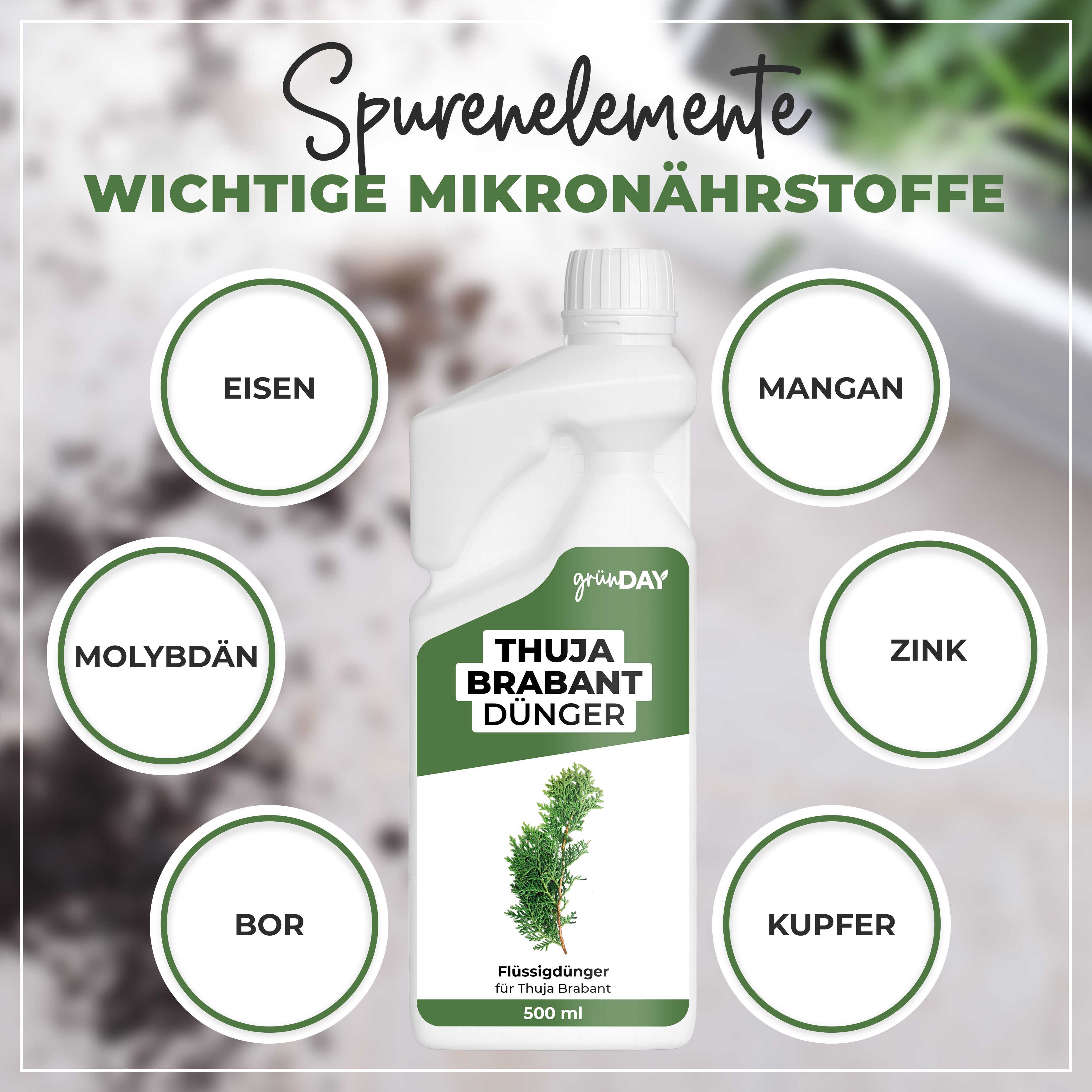 Gründay Thuja Brabant Dünger – Produktansicht 5