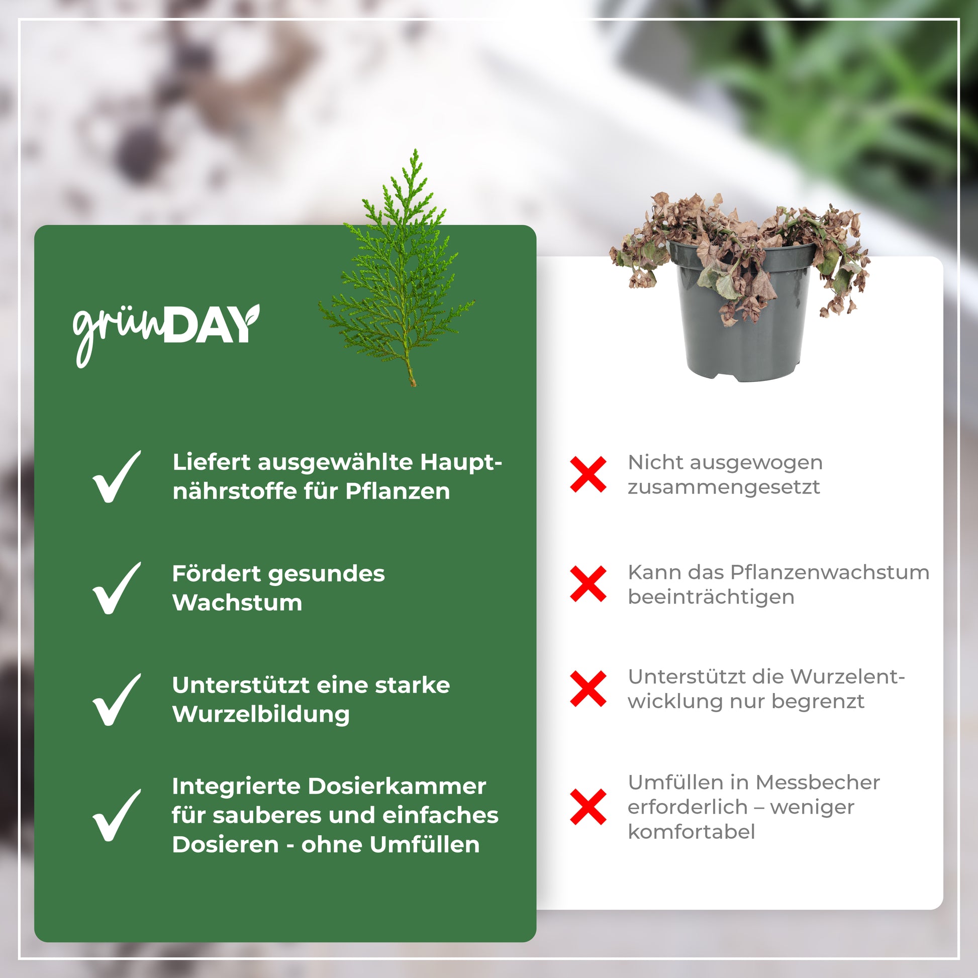 Gründay Thujadünger – Produktansicht 6