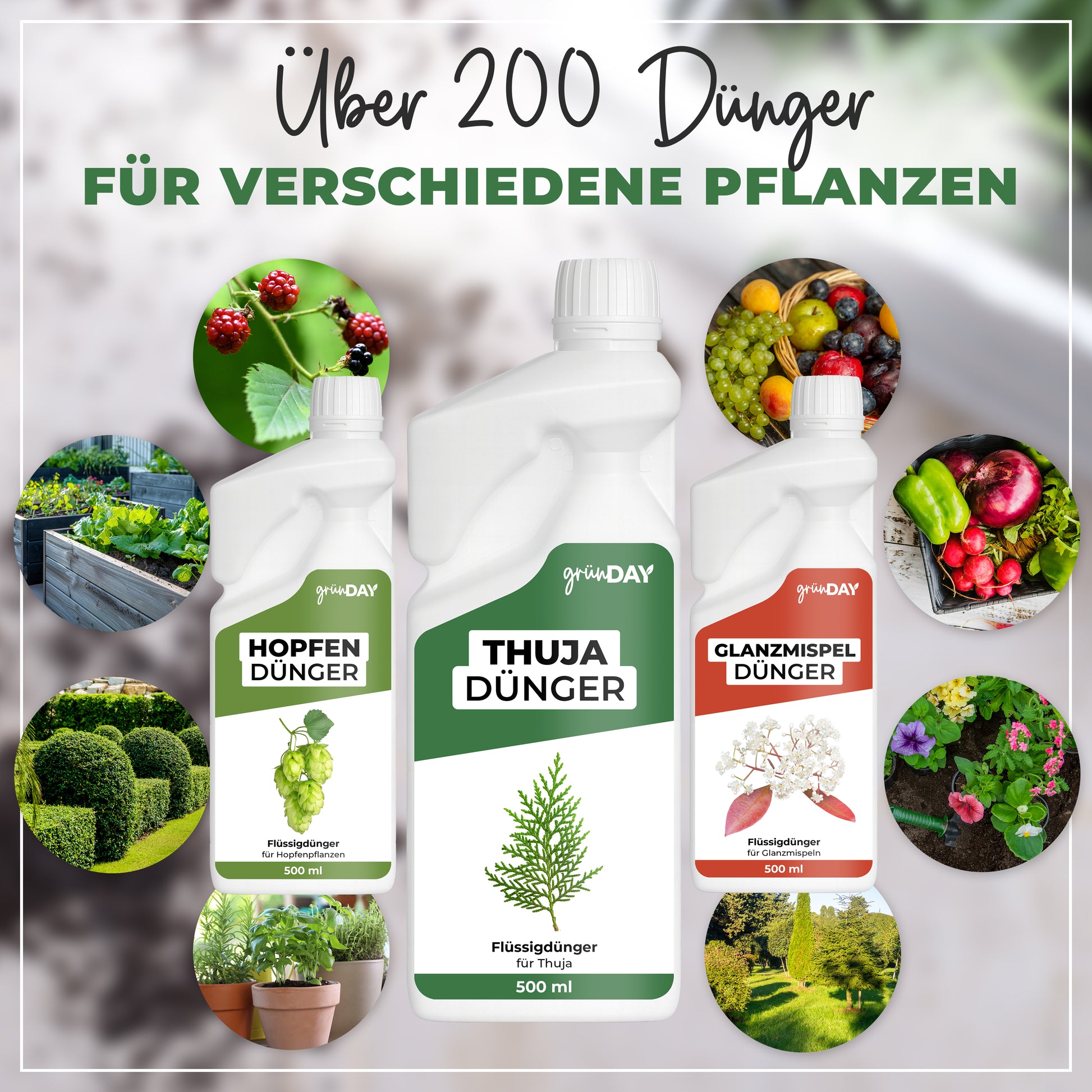 Gründay Thujadünger – Produktansicht 7