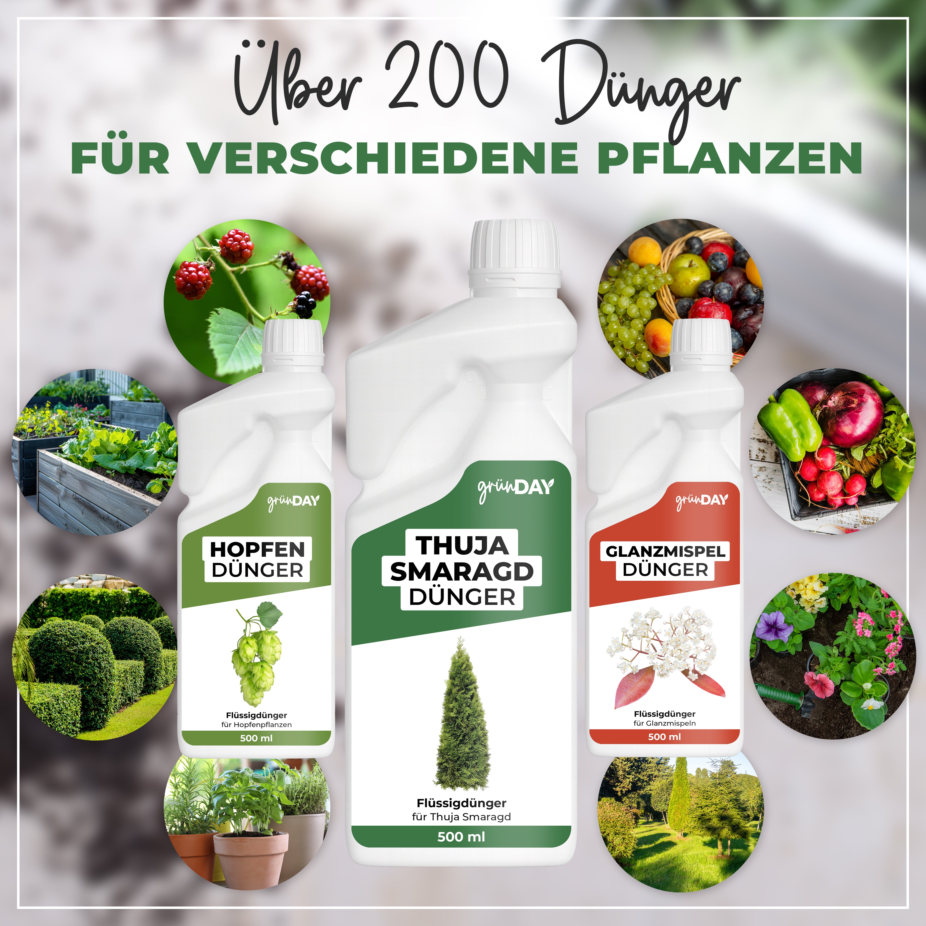 Gründay Thuja Smaragd Dünger – Produktansicht 7