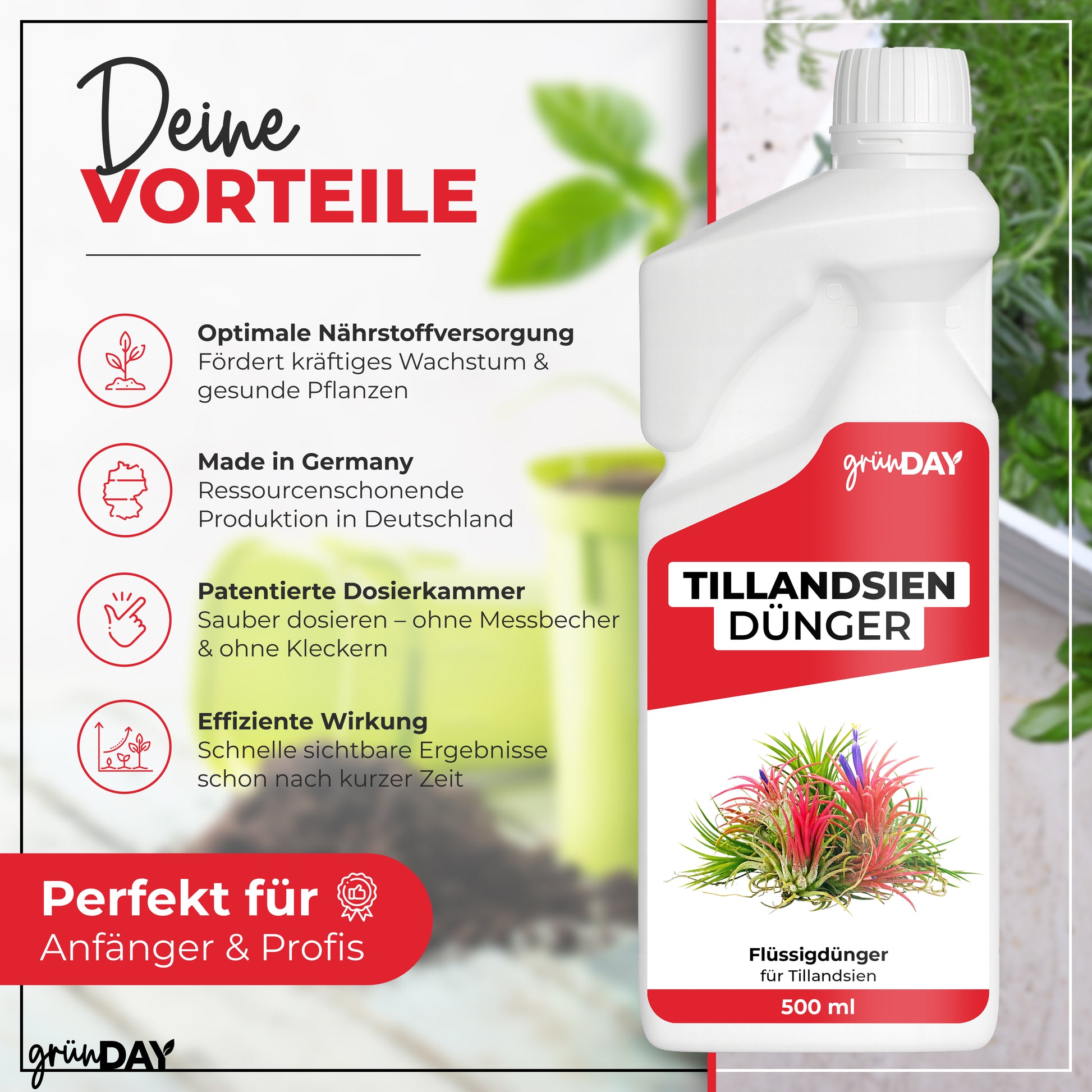 Gründay Tillandsiendünger – Produktansicht 2
