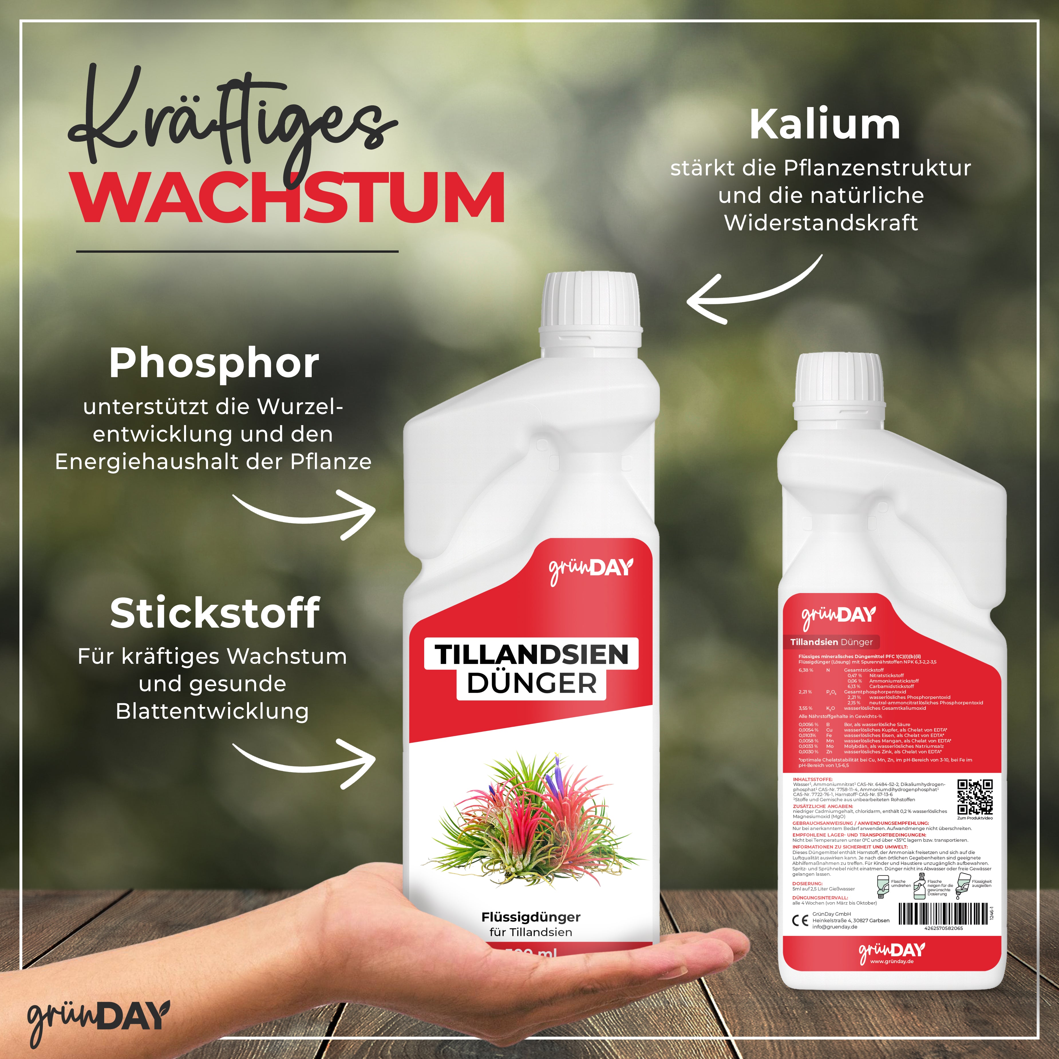 Gründay Tillandsiendünger – Produktansicht 4