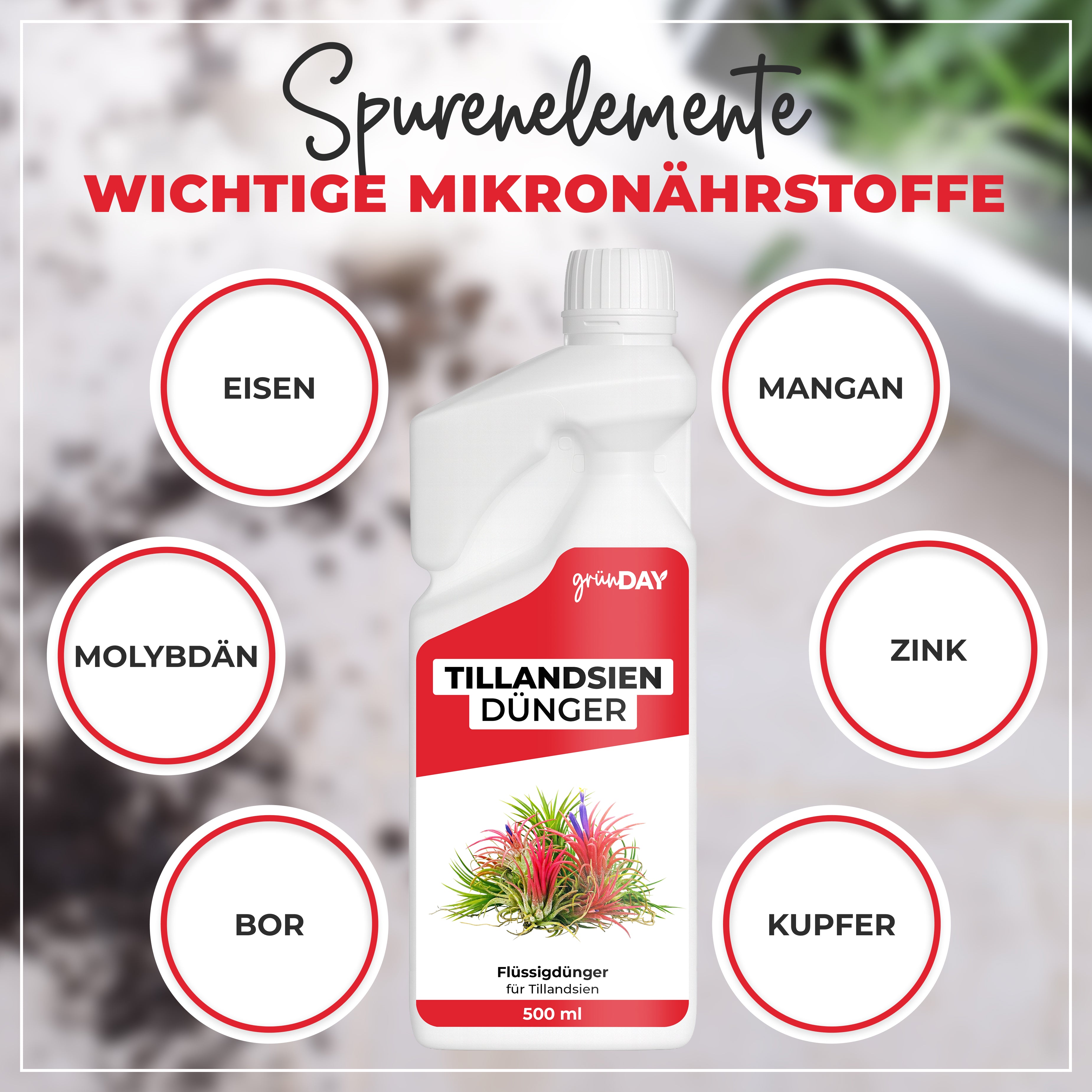 Gründay Tillandsiendünger – Produktansicht 5