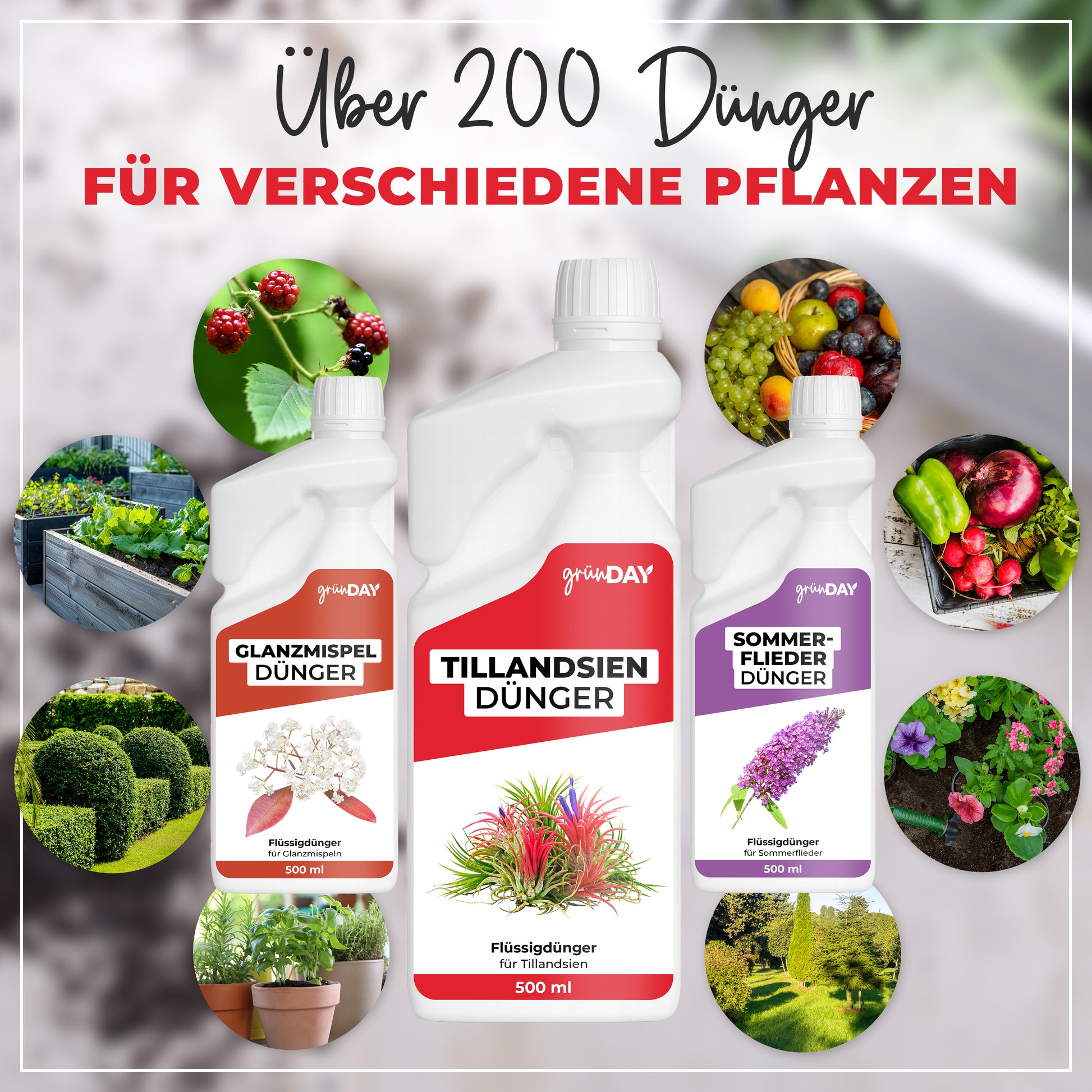 Gründay Tillandsiendünger – Produktansicht 7