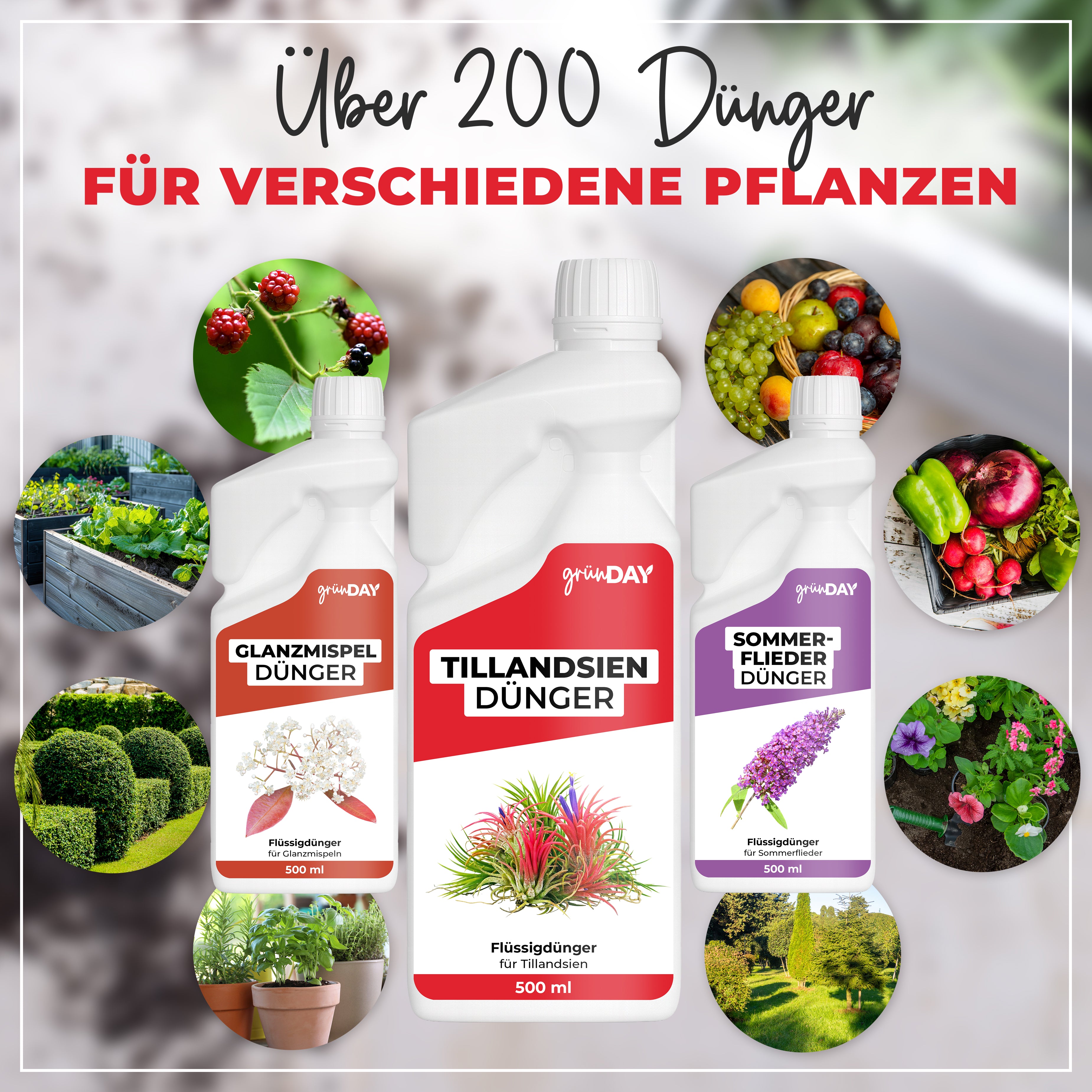 Gründay Tillandsiendünger – Produktansicht 7