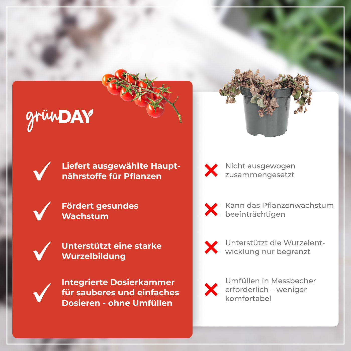 Gründay Tomatendünger – Produktansicht 6