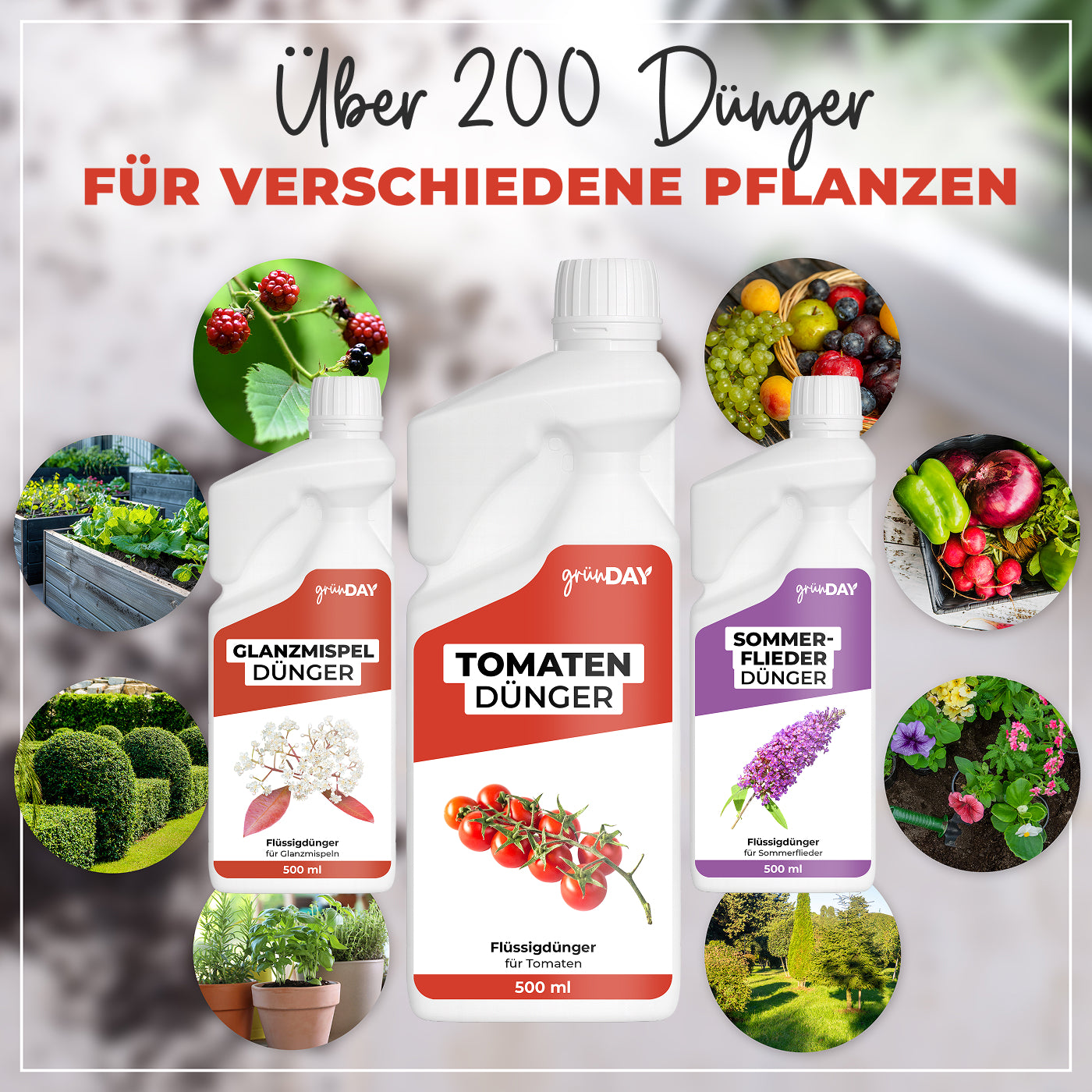 Gründay Tomatendünger – Produktansicht 7
