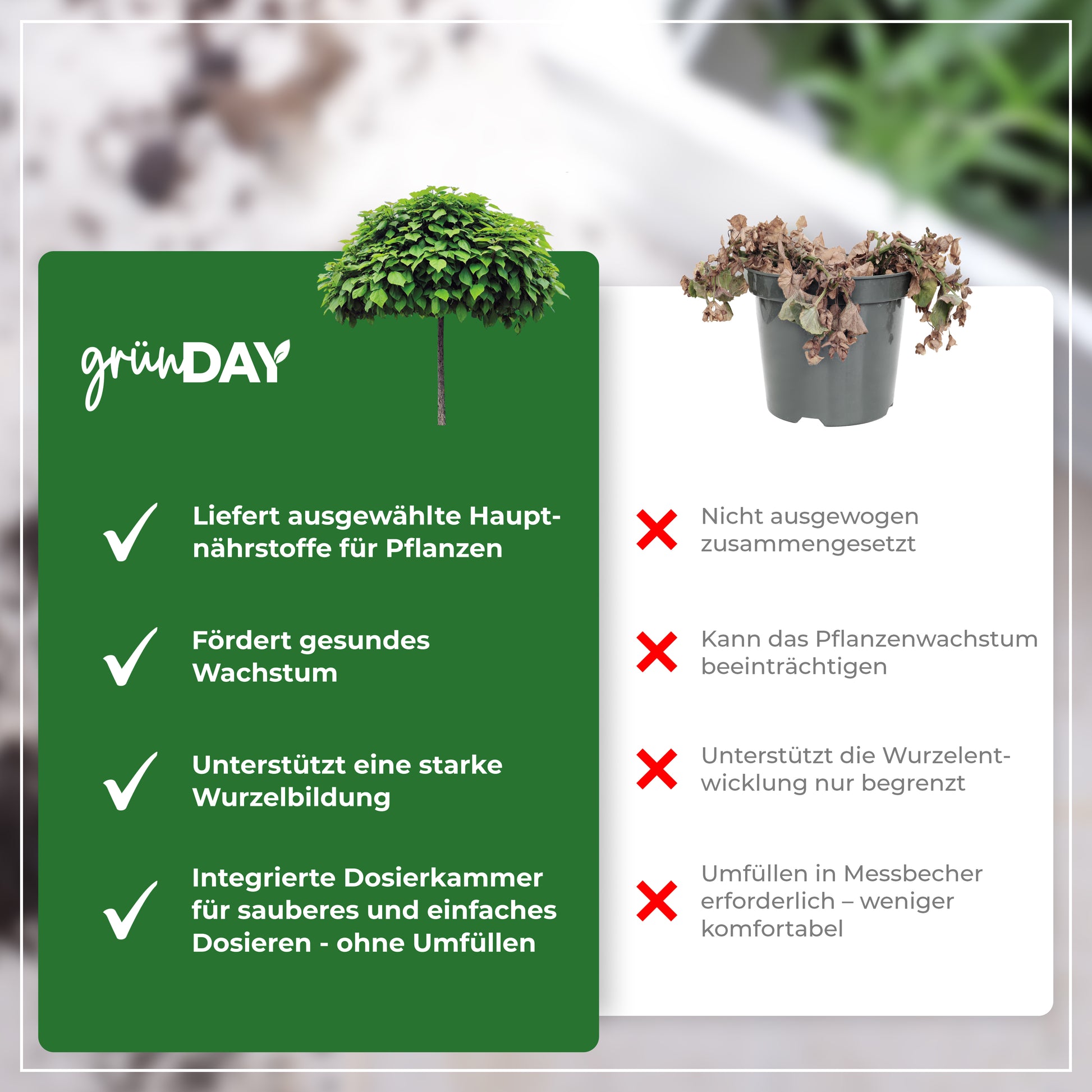 Gründay Trompetenbaum Dünger – Produktansicht 6