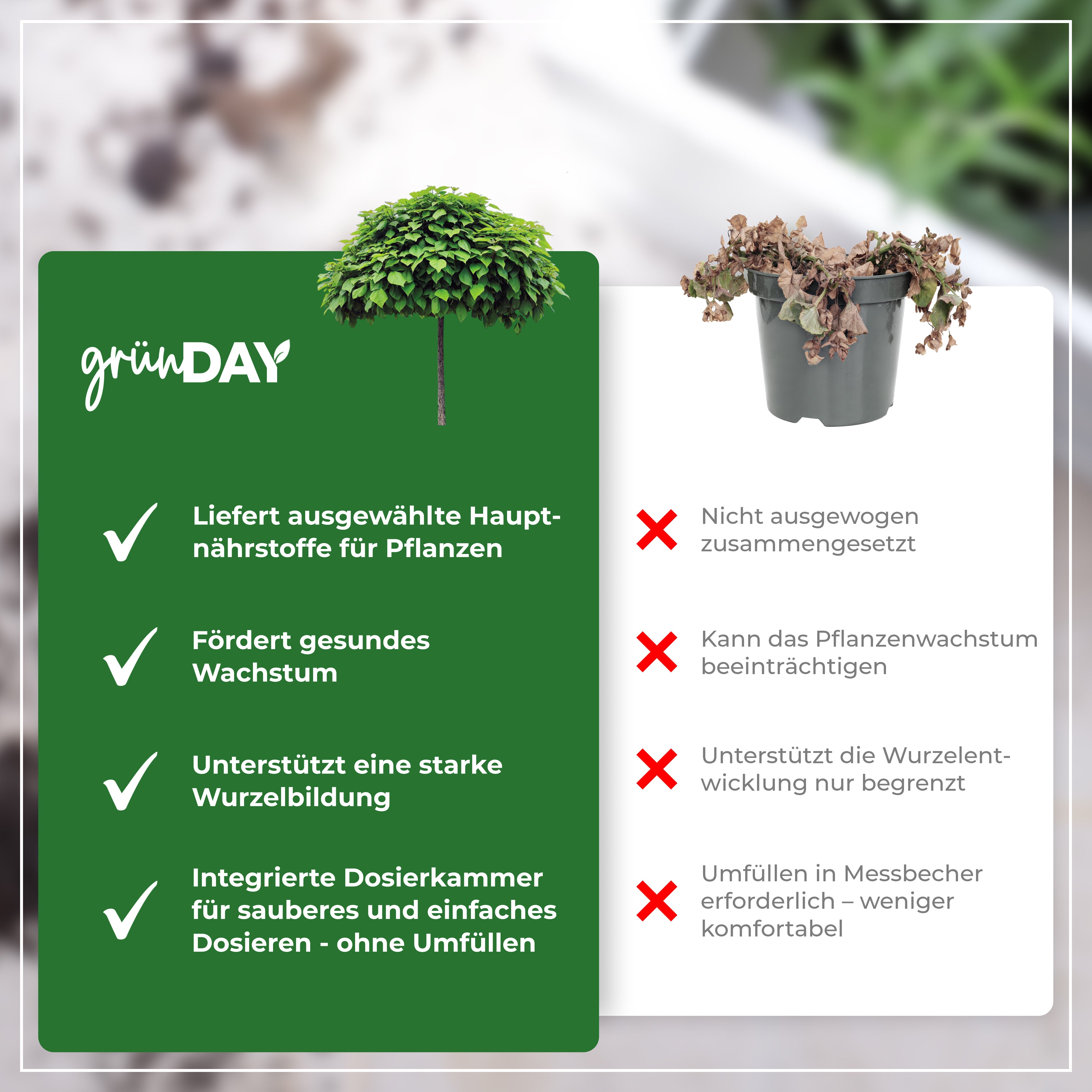Gründay Trompetenbaum Dünger – Produktansicht 6