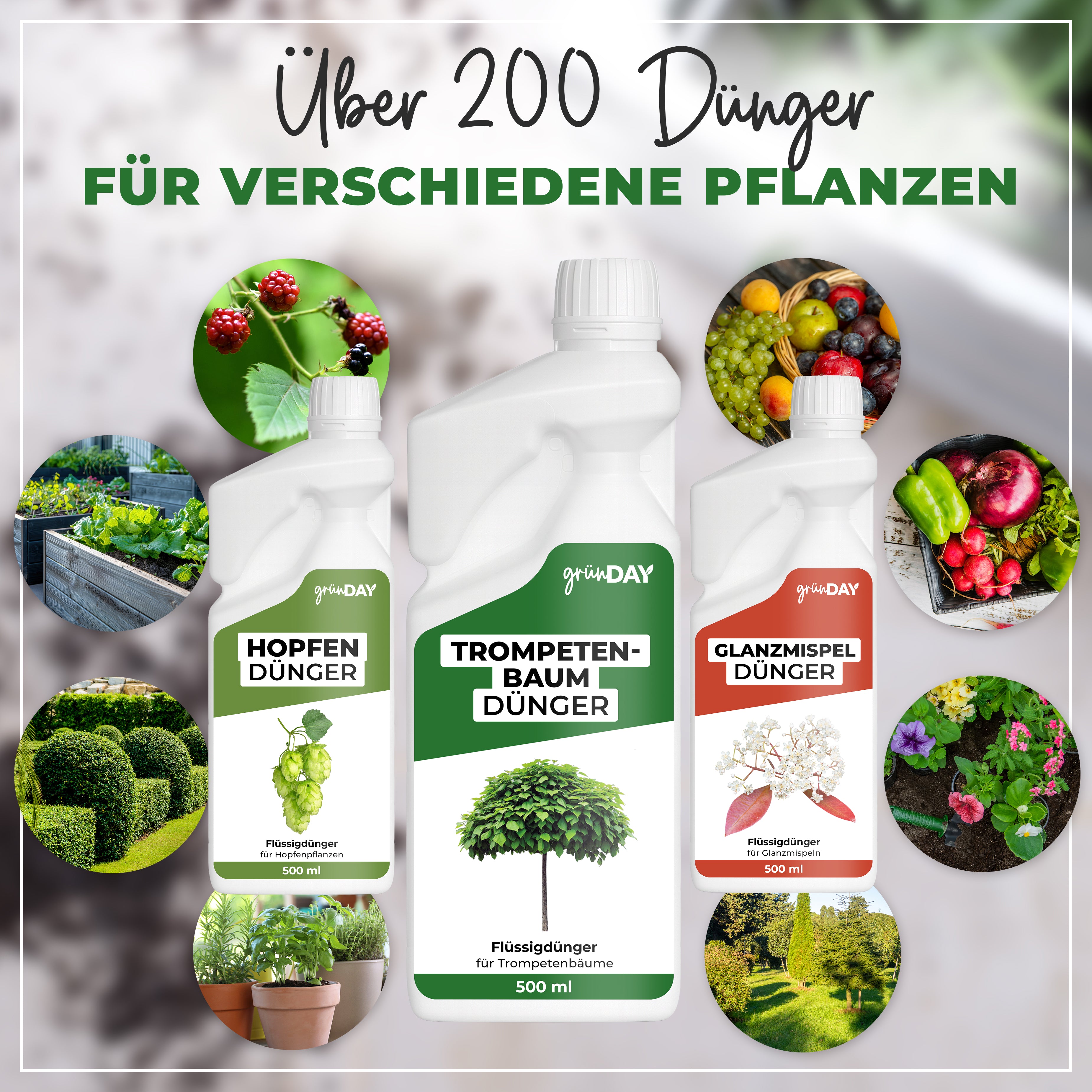Gründay Trompetenbaum Dünger – Produktansicht 7