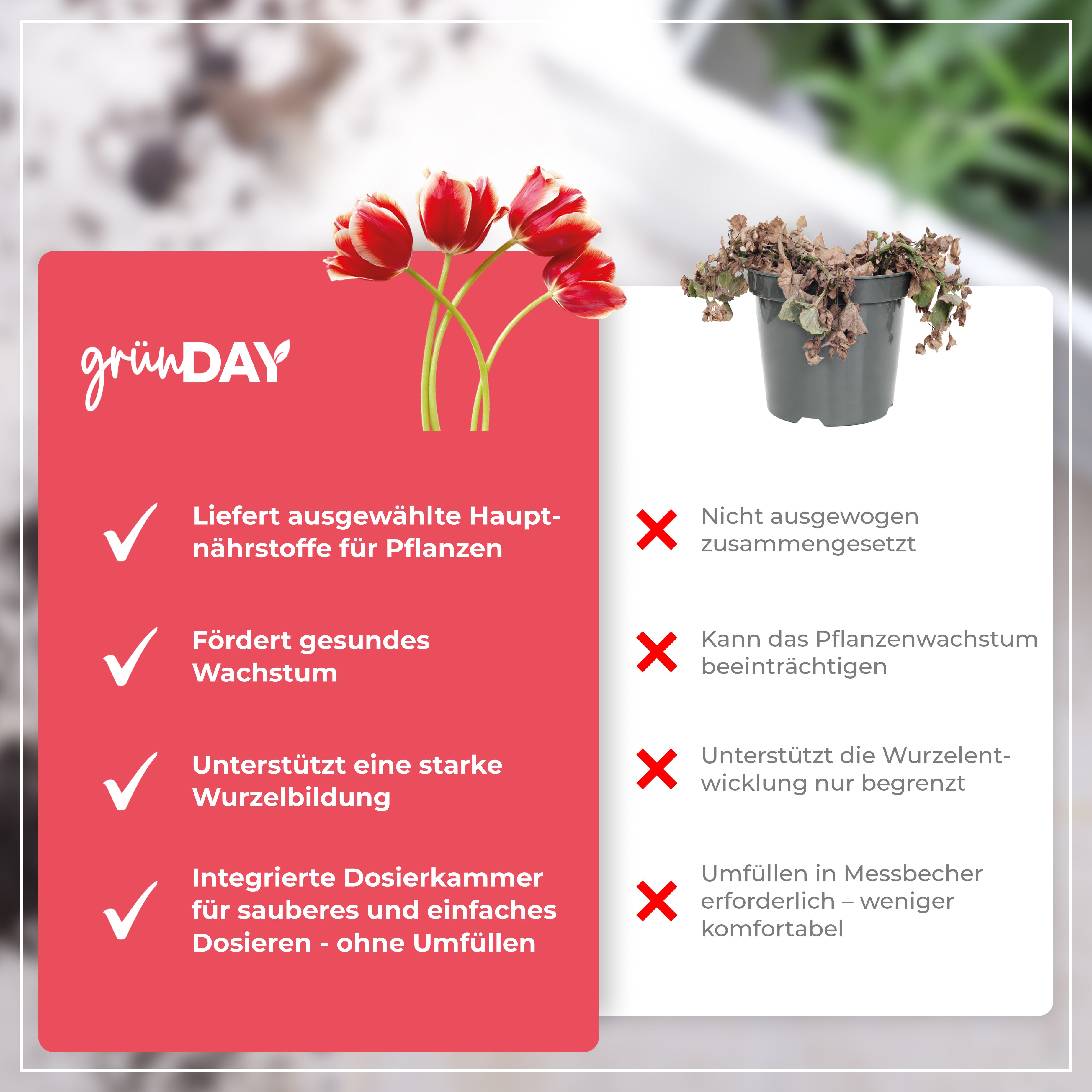 Gründay Tulpendünger – Produktansicht 6