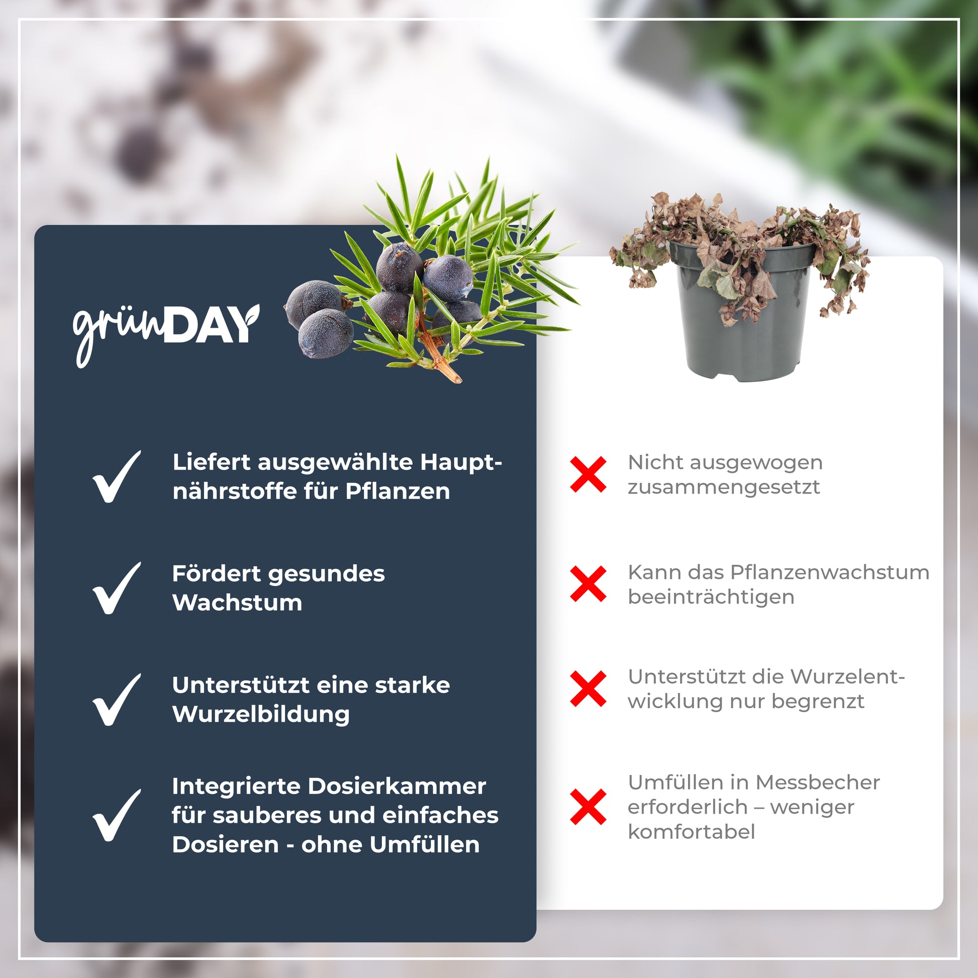 Gründay Wacholderdünger – Produktansicht 6