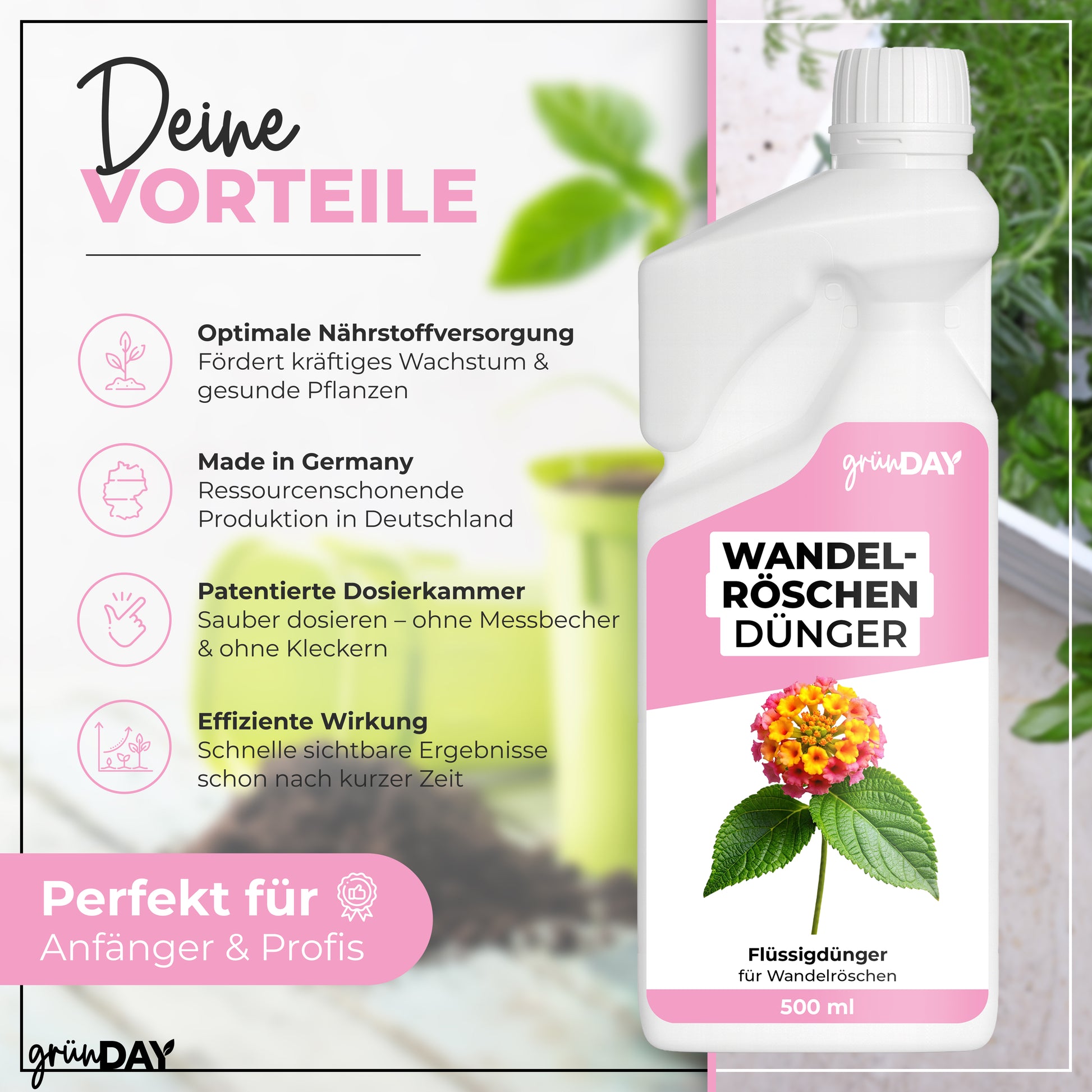 Gründay Wandelröschendünger – Produktansicht 2