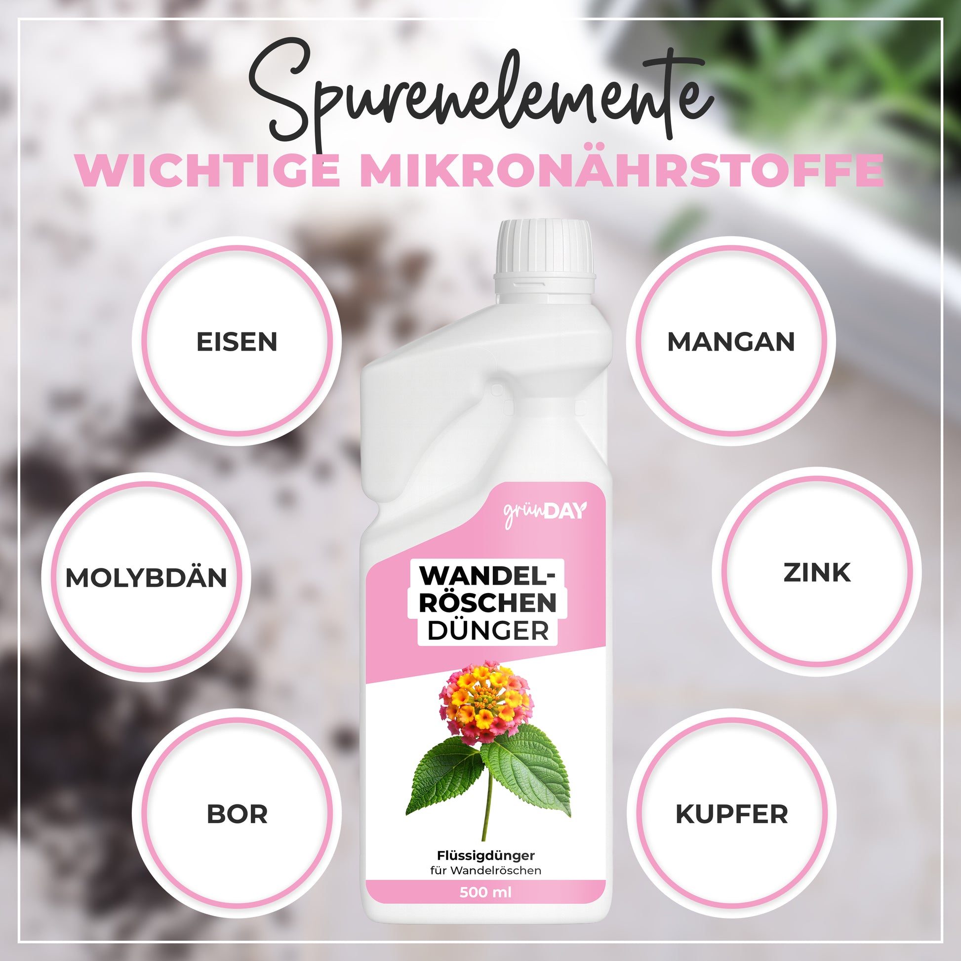 Gründay Wandelröschendünger – Produktansicht 5