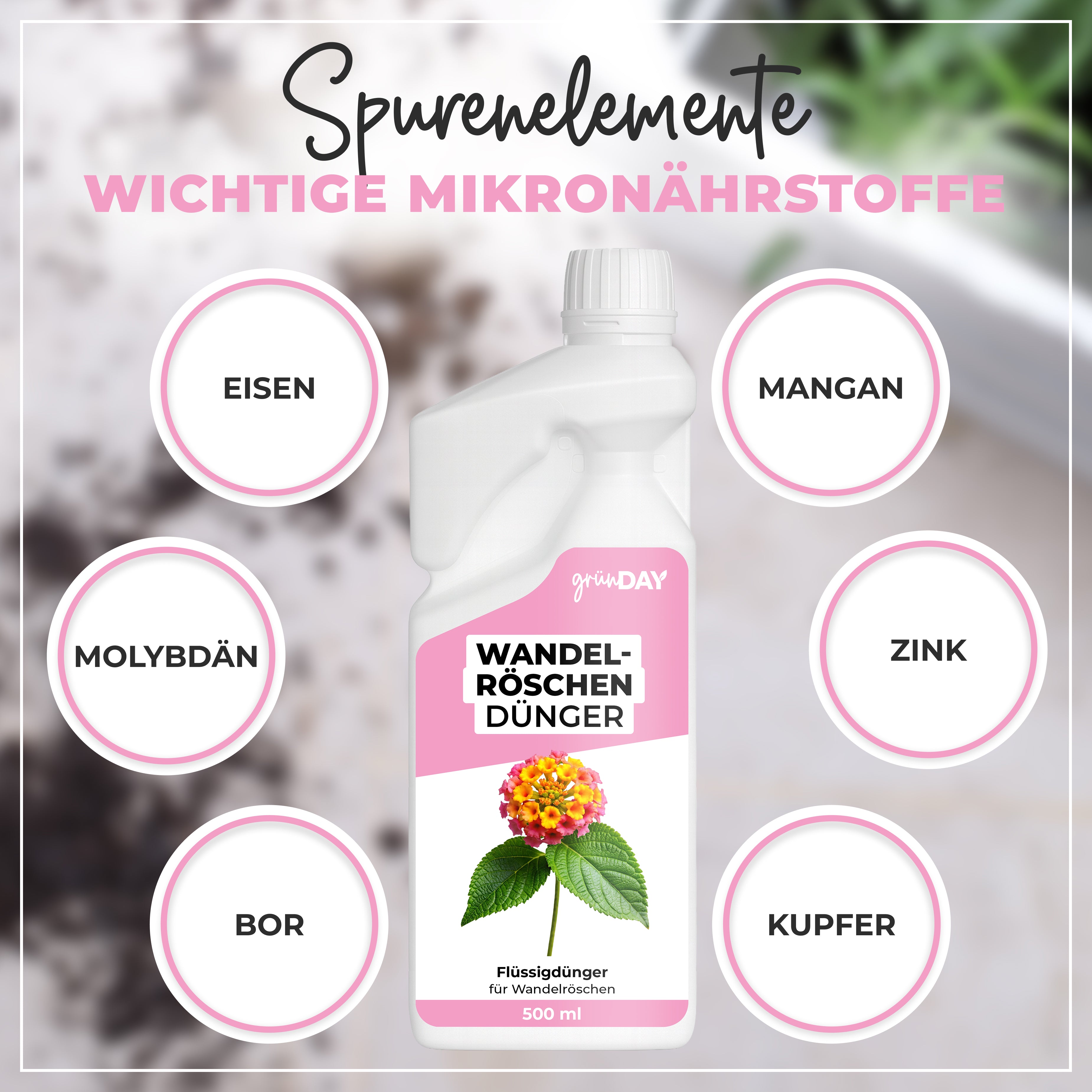 Gründay Wandelröschendünger – Produktansicht 5