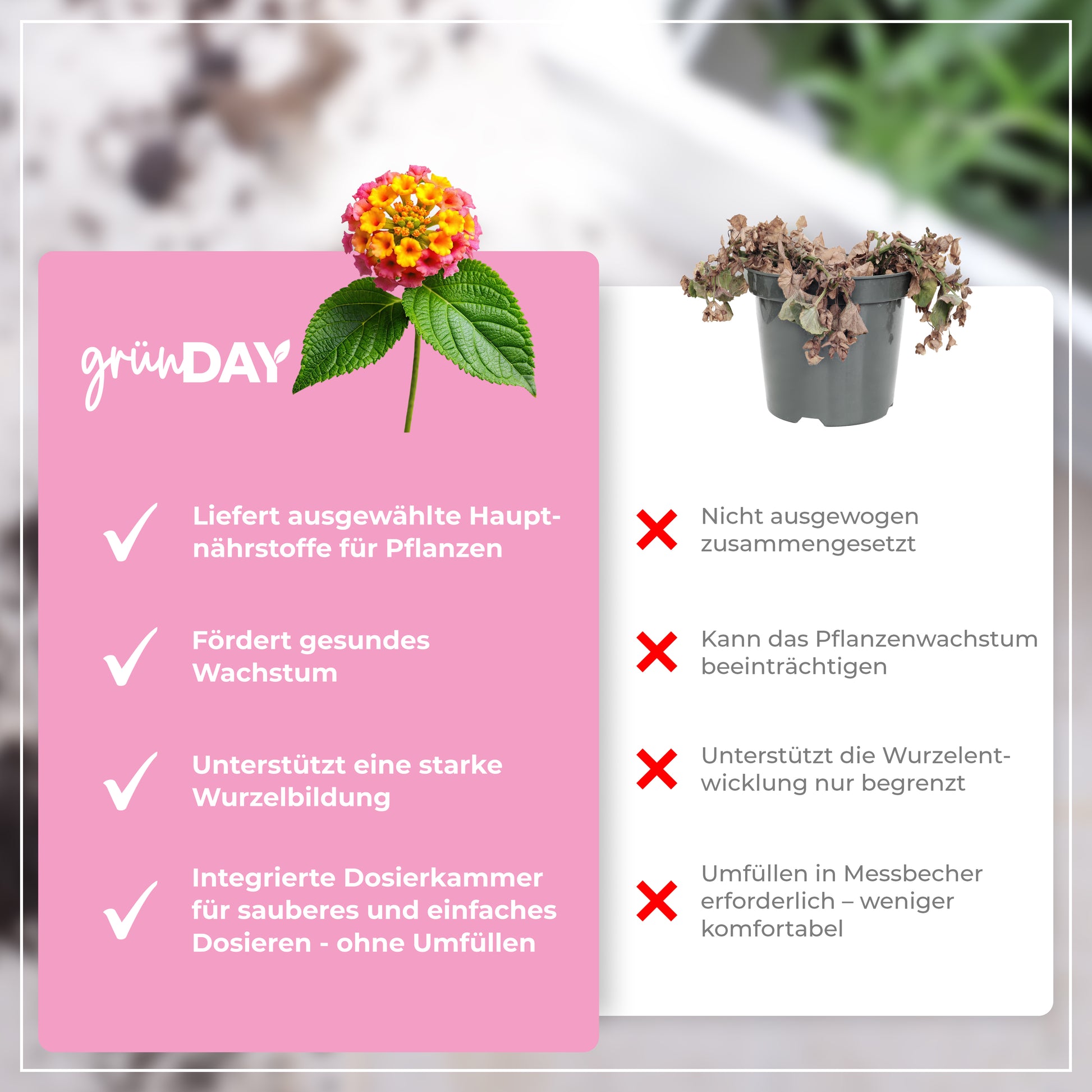 Gründay Wandelröschendünger – Produktansicht 6