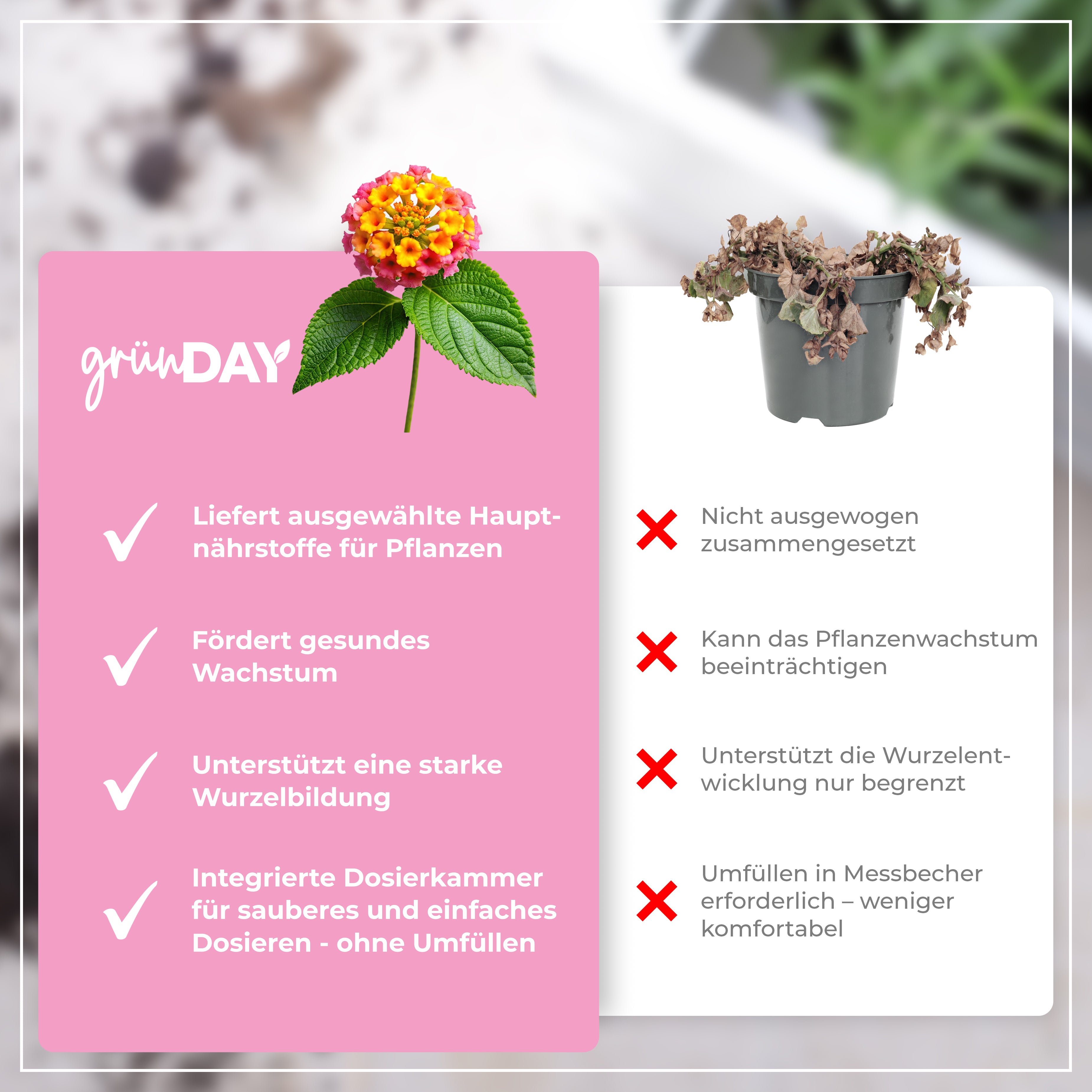 Gründay Wandelröschendünger – Produktansicht 6