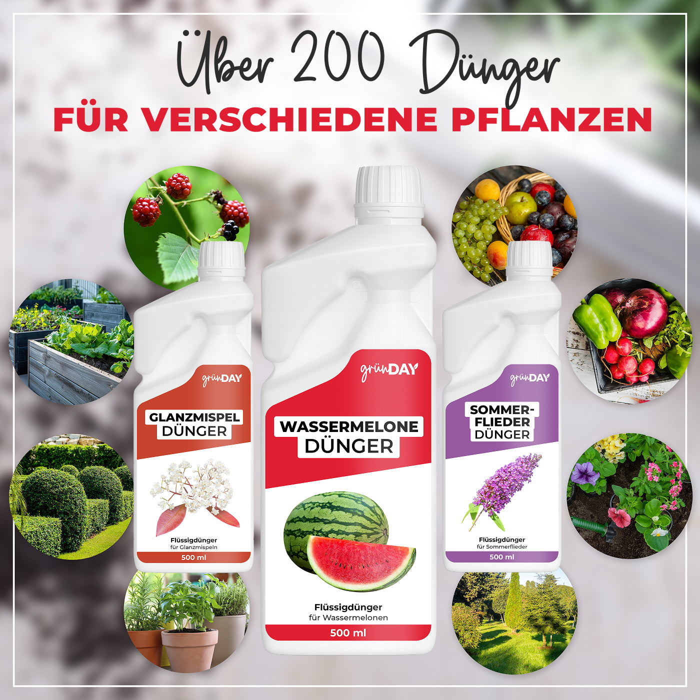 Gründay Wassermelonedünger – Produktansicht 7