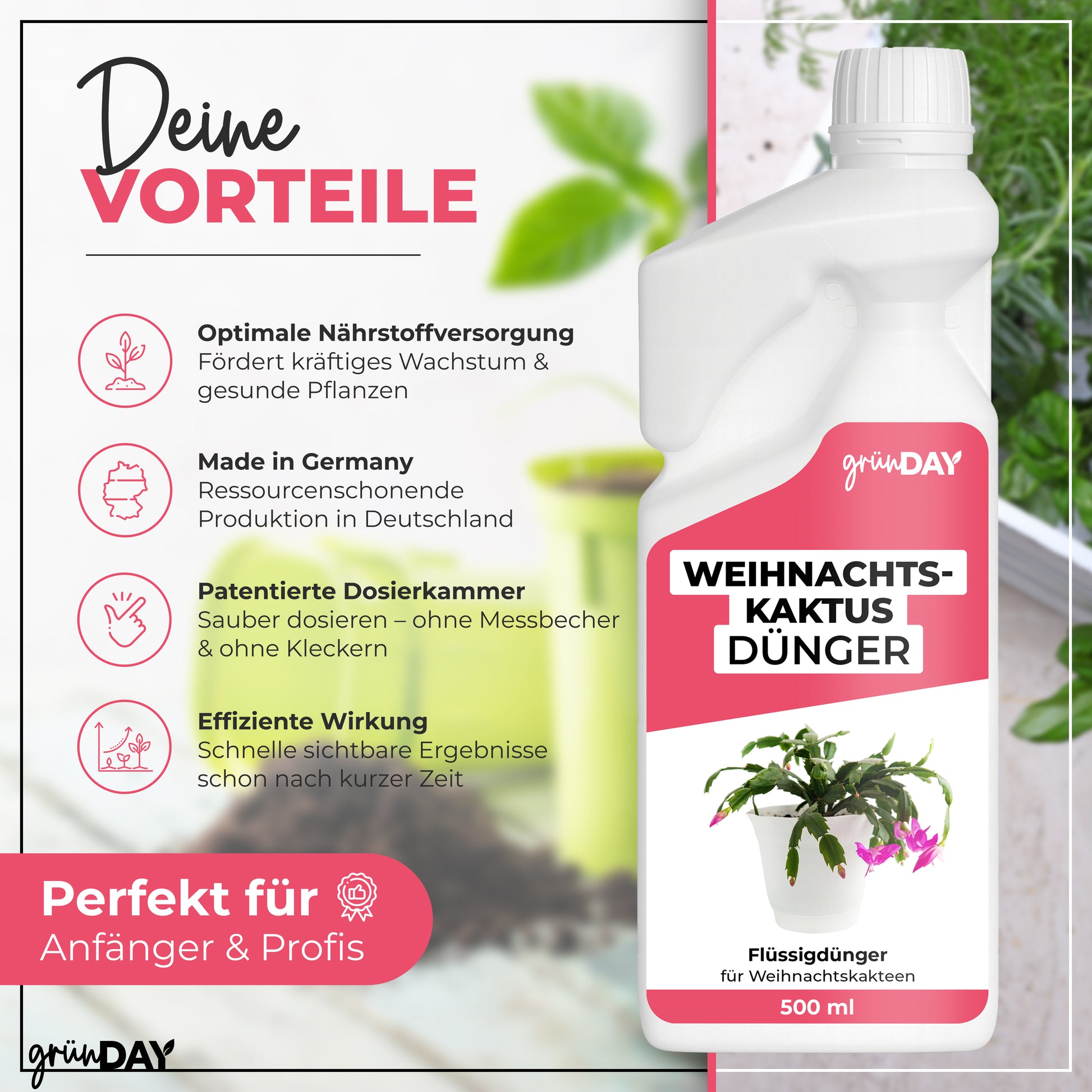 Gründay Weihnachtskaktusdünger – Produktansicht 2