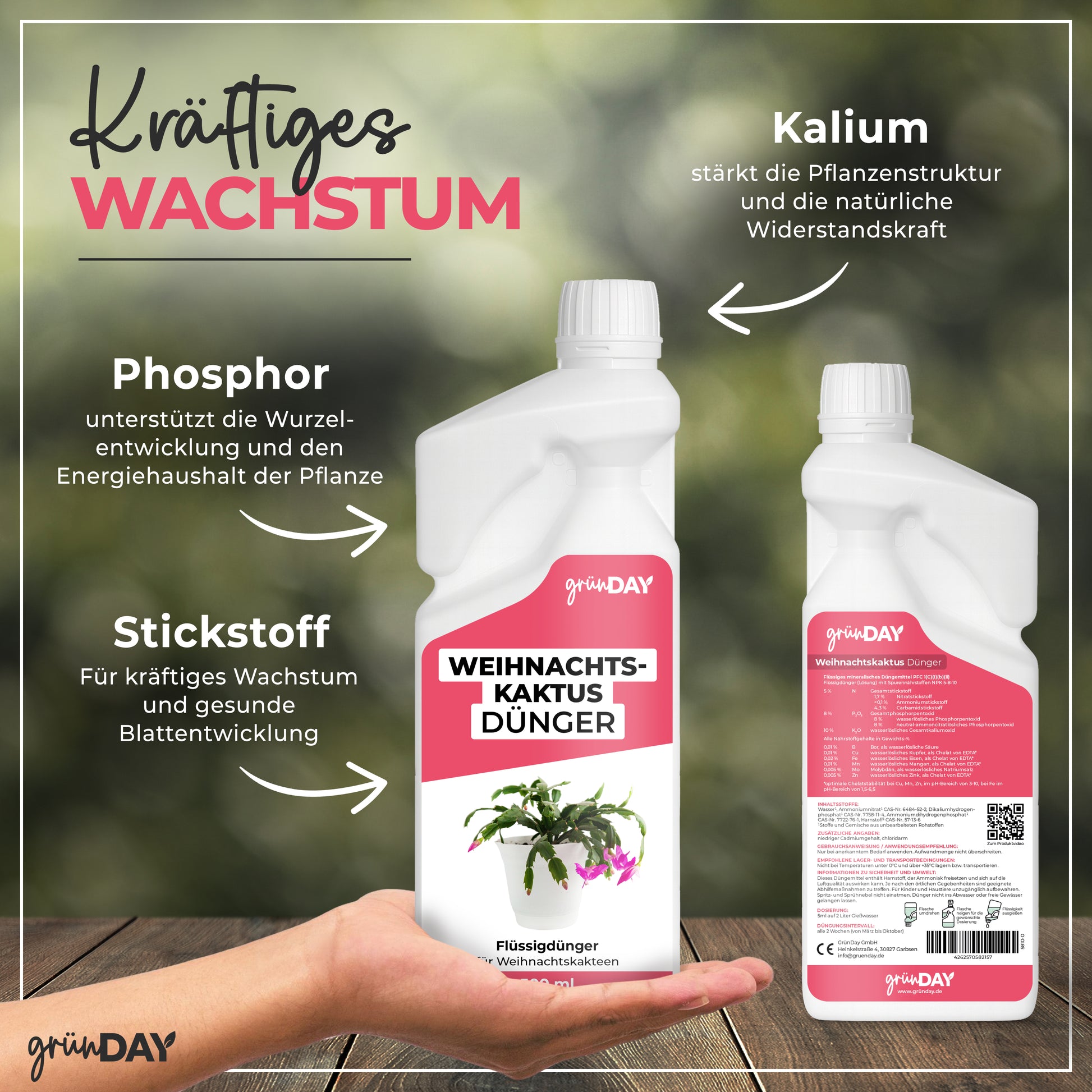 Gründay Weihnachtskaktusdünger – Produktansicht 4