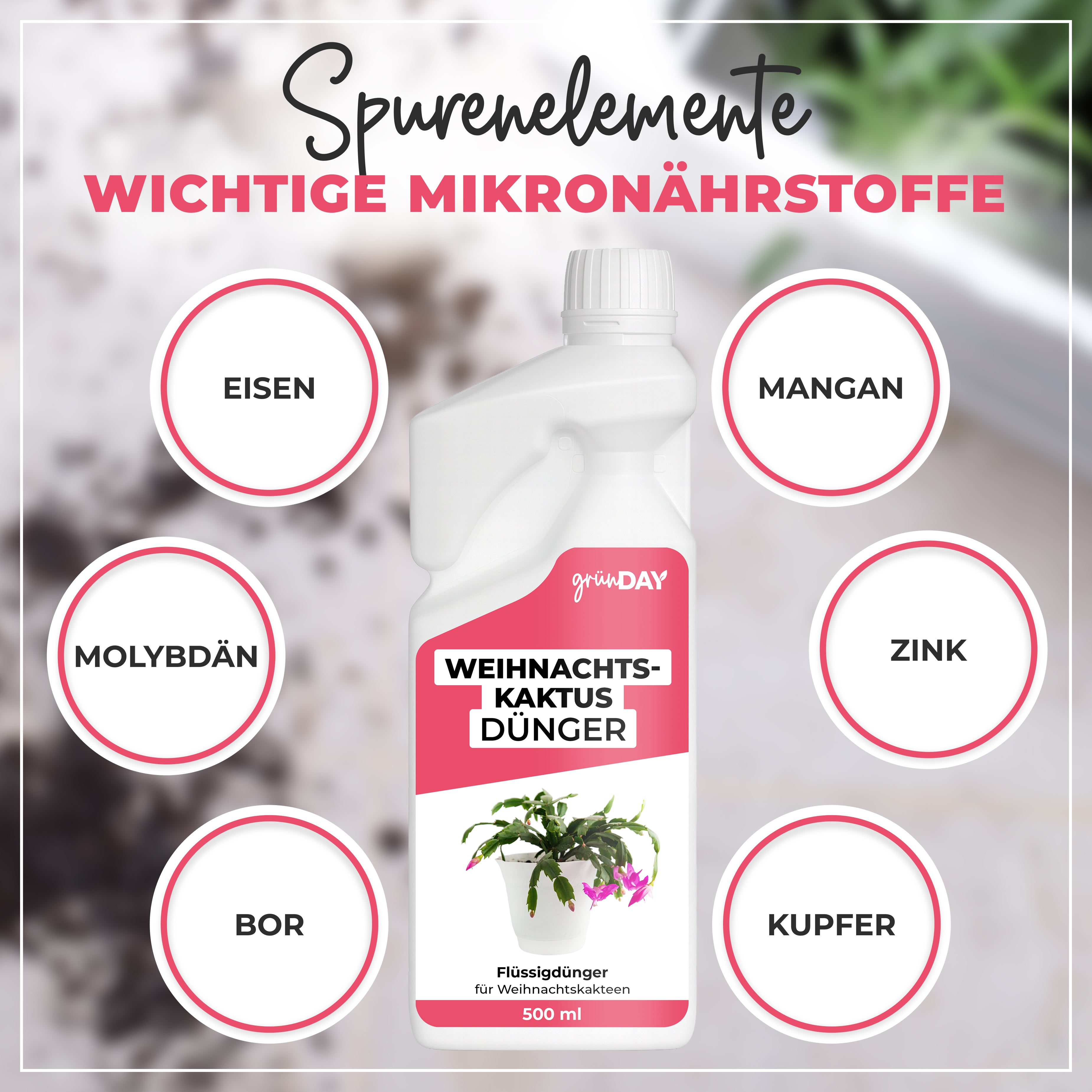 Gründay Weihnachtskaktusdünger – Produktansicht 5