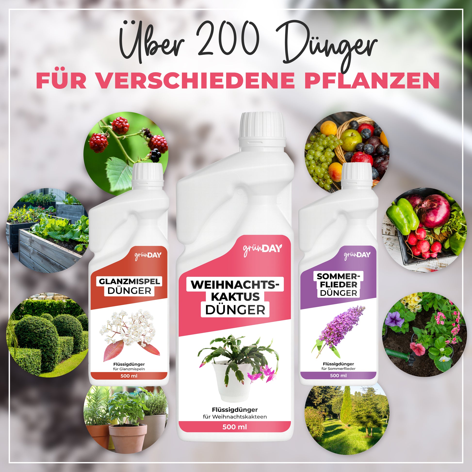 Gründay Weihnachtskaktusdünger – Produktansicht 7