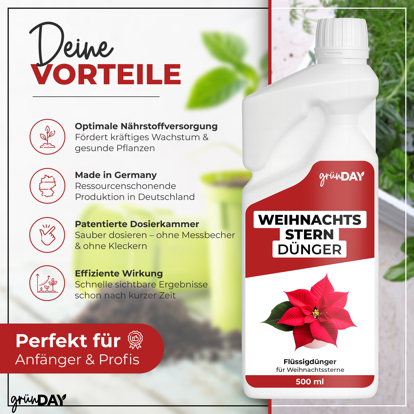 Gründay Weihnachtssterndünger – Produktansicht 2