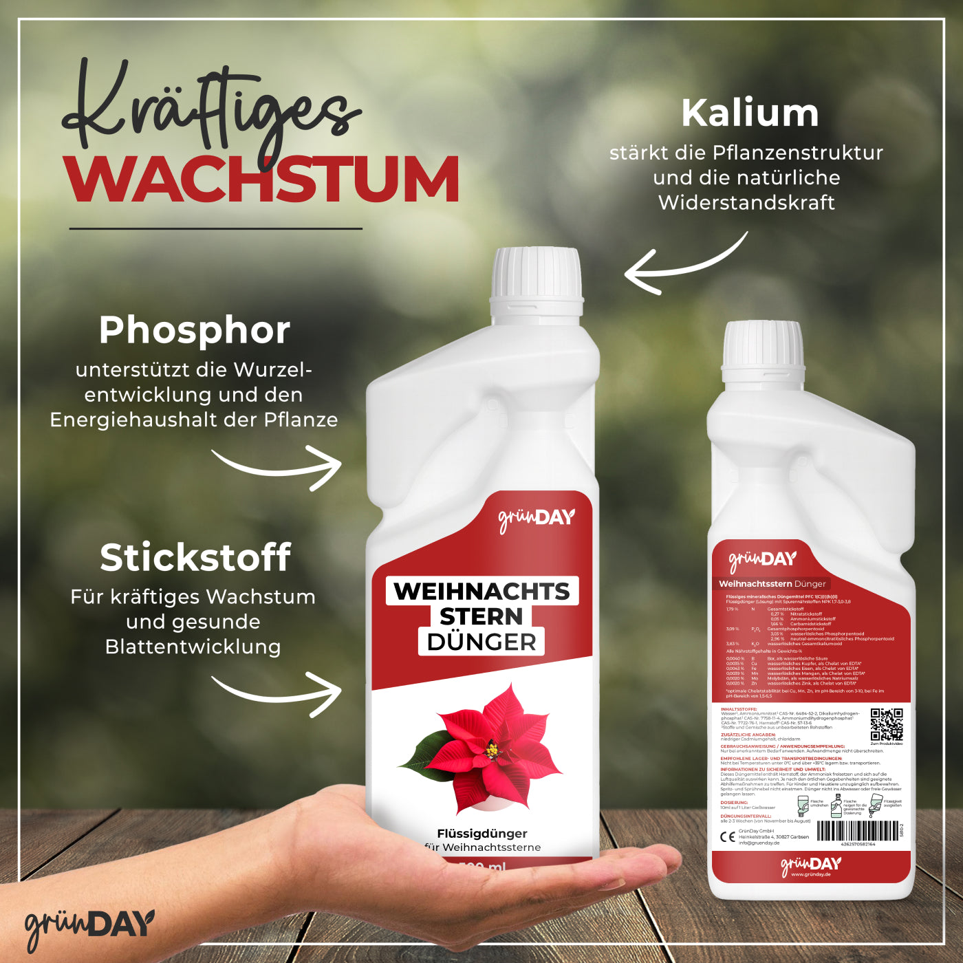 Gründay Weihnachtssterndünger – Produktansicht 4