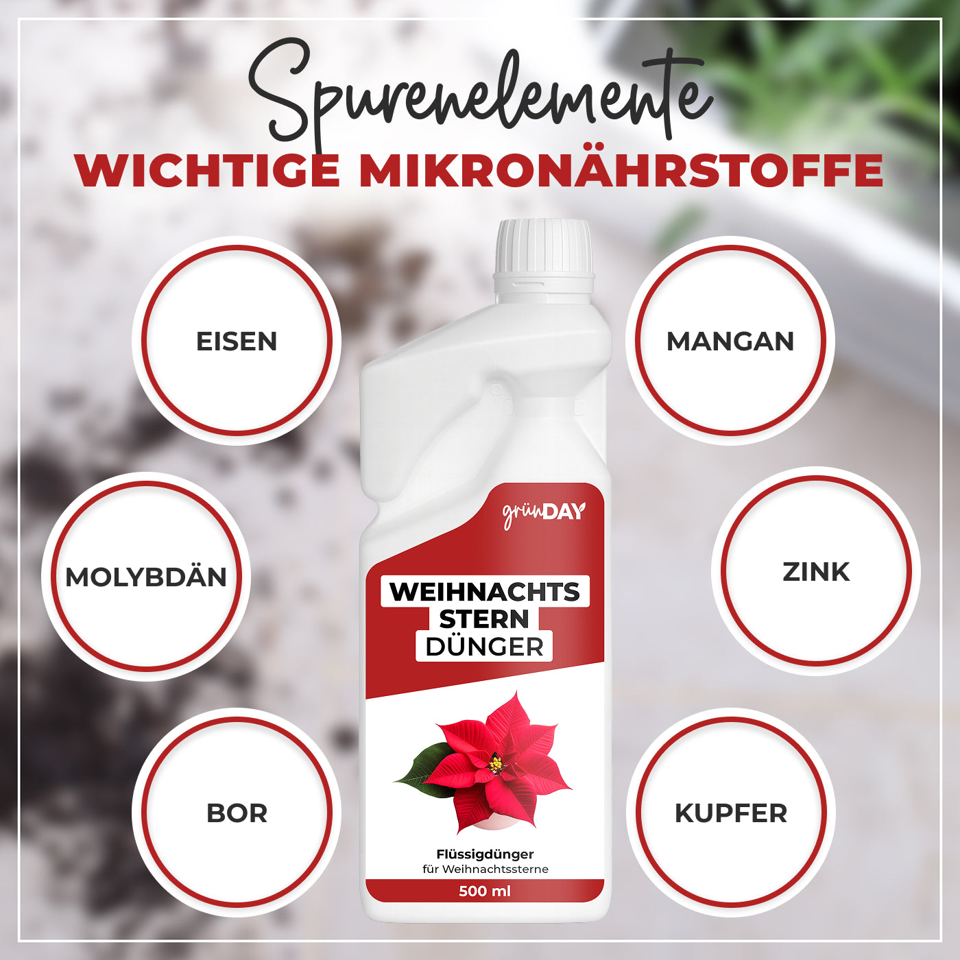 Gründay Weihnachtssterndünger – Produktansicht 5