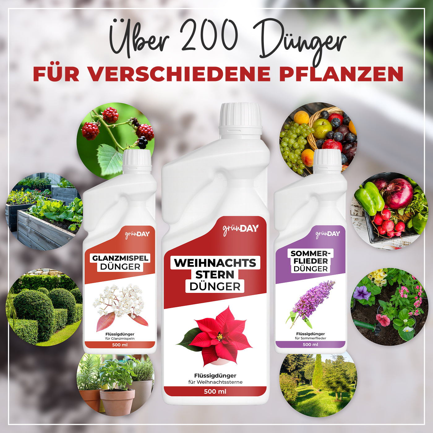 Gründay Weihnachtssterndünger – Produktansicht 7