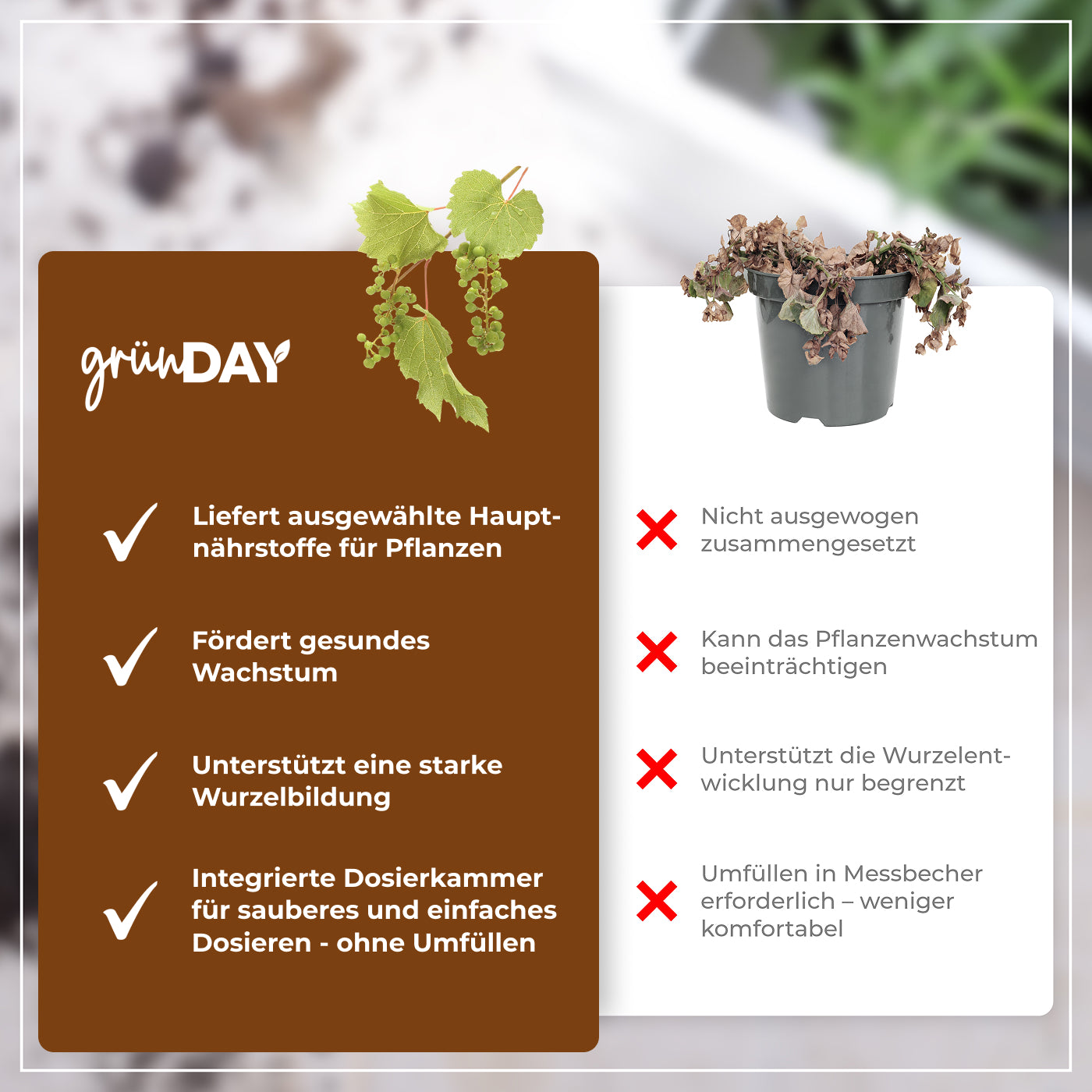 Gründay Weinrebendünger – Produktansicht 6