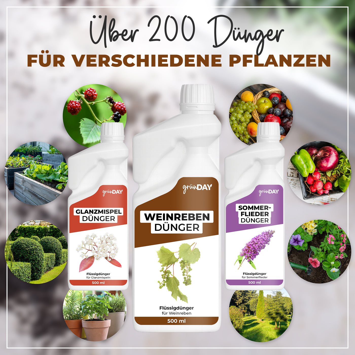 Gründay Weinrebendünger – Produktansicht 7