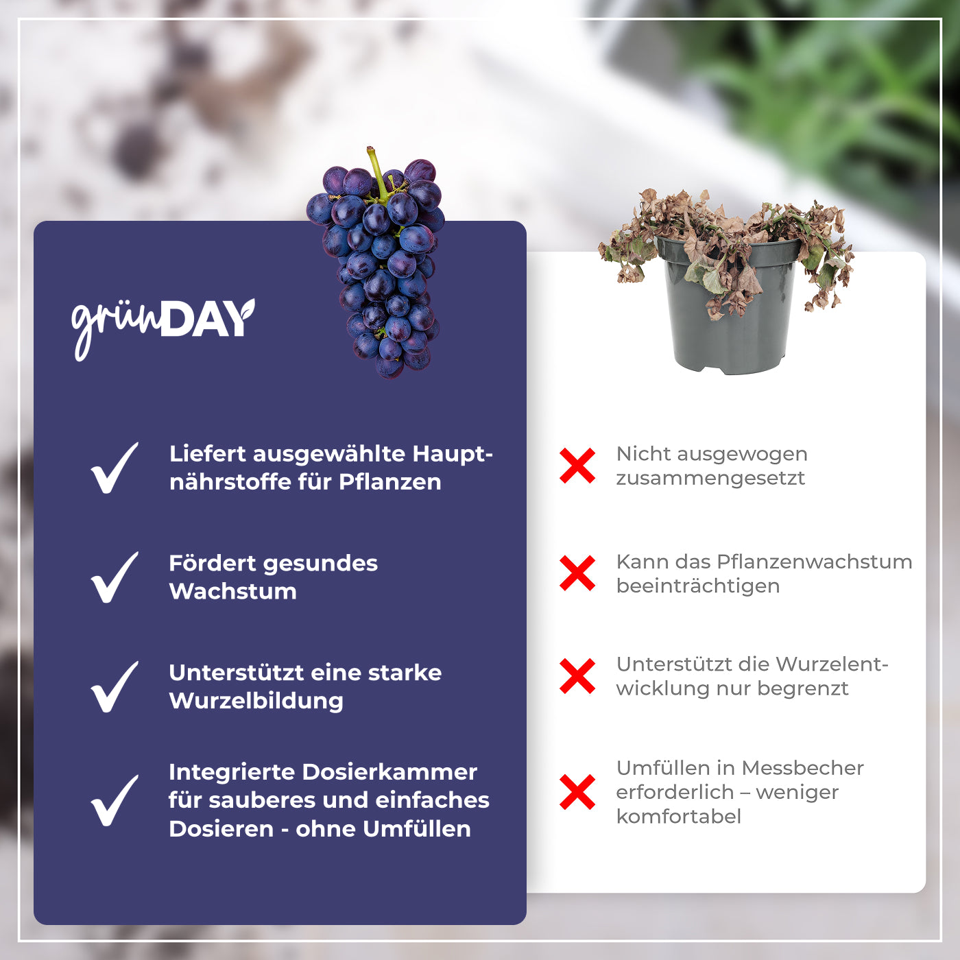 Gründay Weinstockdünger – Produktansicht 6