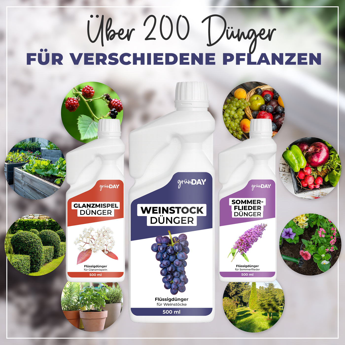 Gründay Weinstockdünger – Produktansicht 7