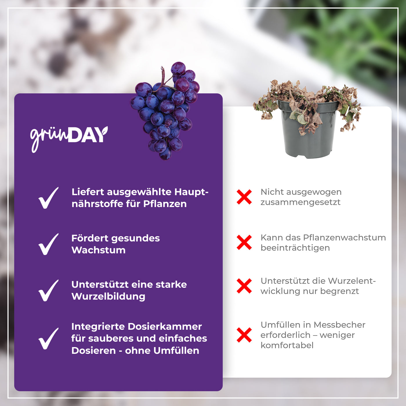 Gründay Weintraubendünger – Produktansicht 6