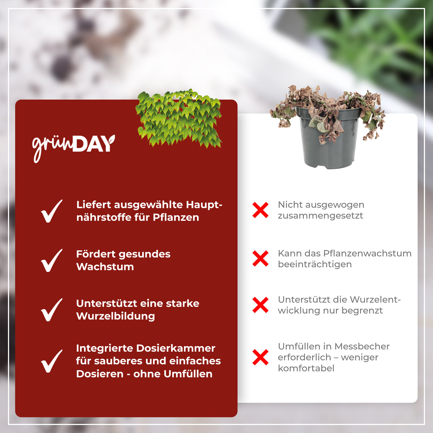 Gründay Wilder Wein Dünger – Produktansicht 6
