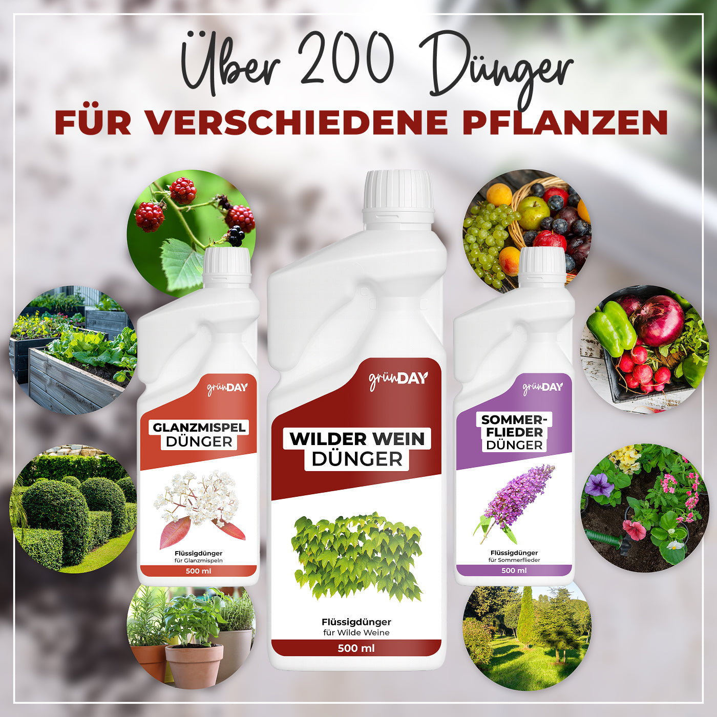 Gründay Wilder Wein Dünger – Produktansicht 7