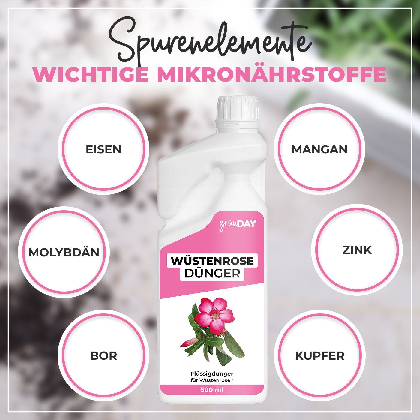 Gründay Wüstenrosedünger – Produktansicht 5