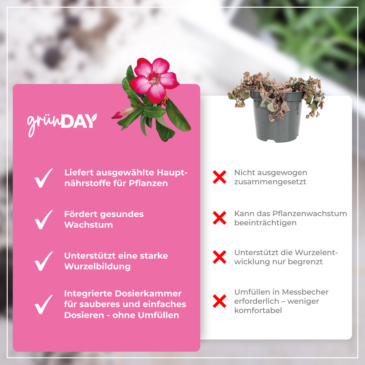 Gründay Wüstenrosedünger – Produktansicht 6