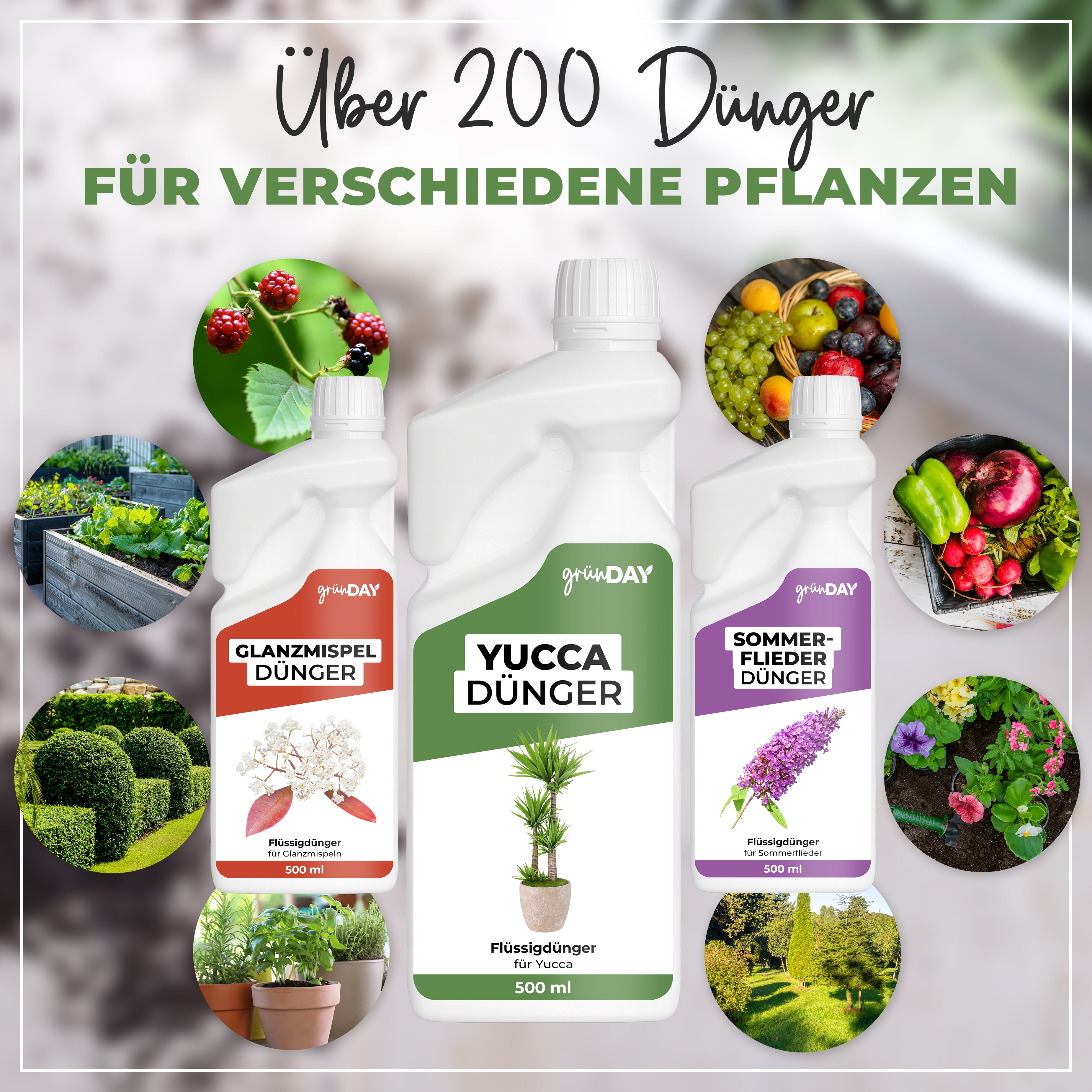 Gründay Yuccadünger – Produktansicht 7