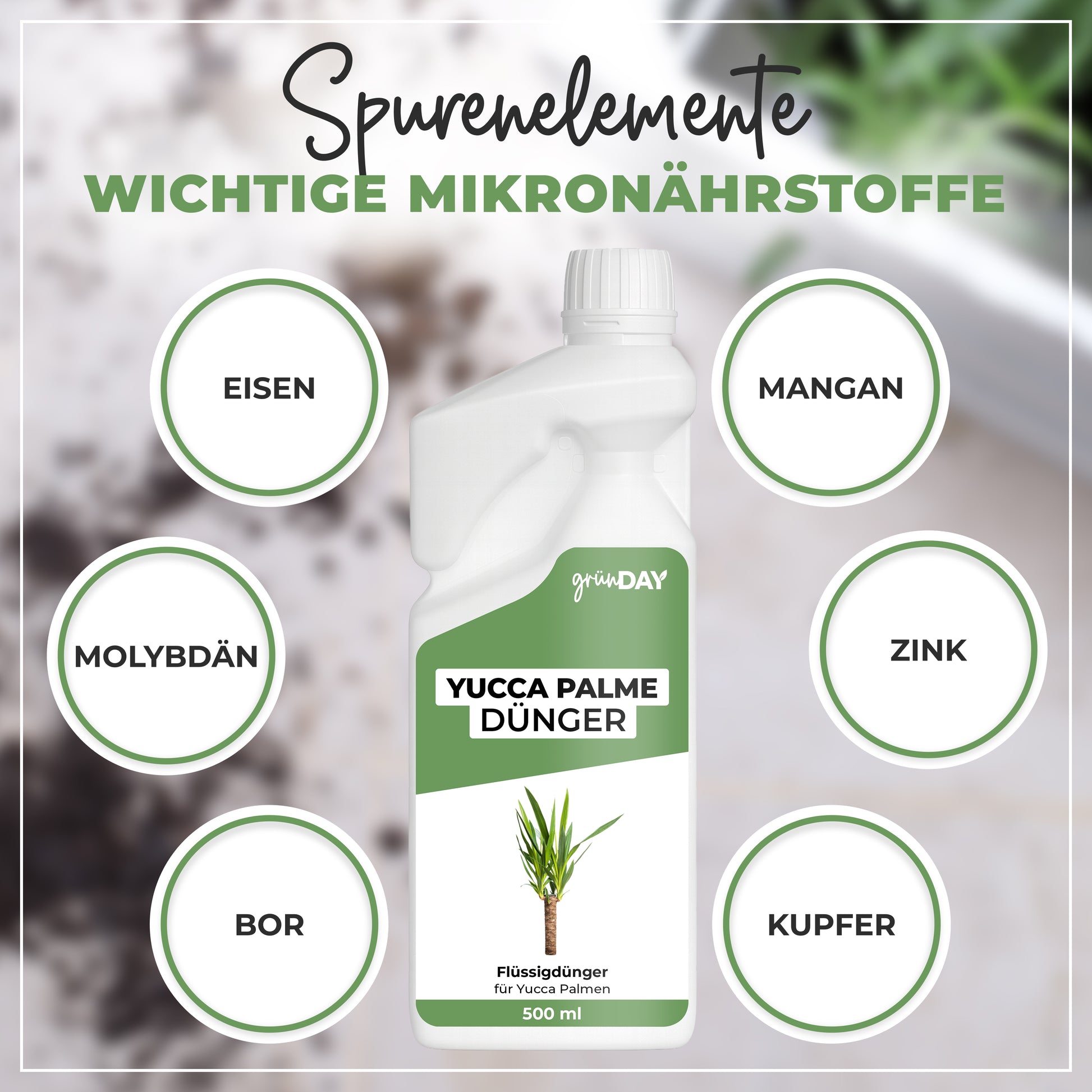 Gründay Yucca Palme Dünger – Produktansicht 5